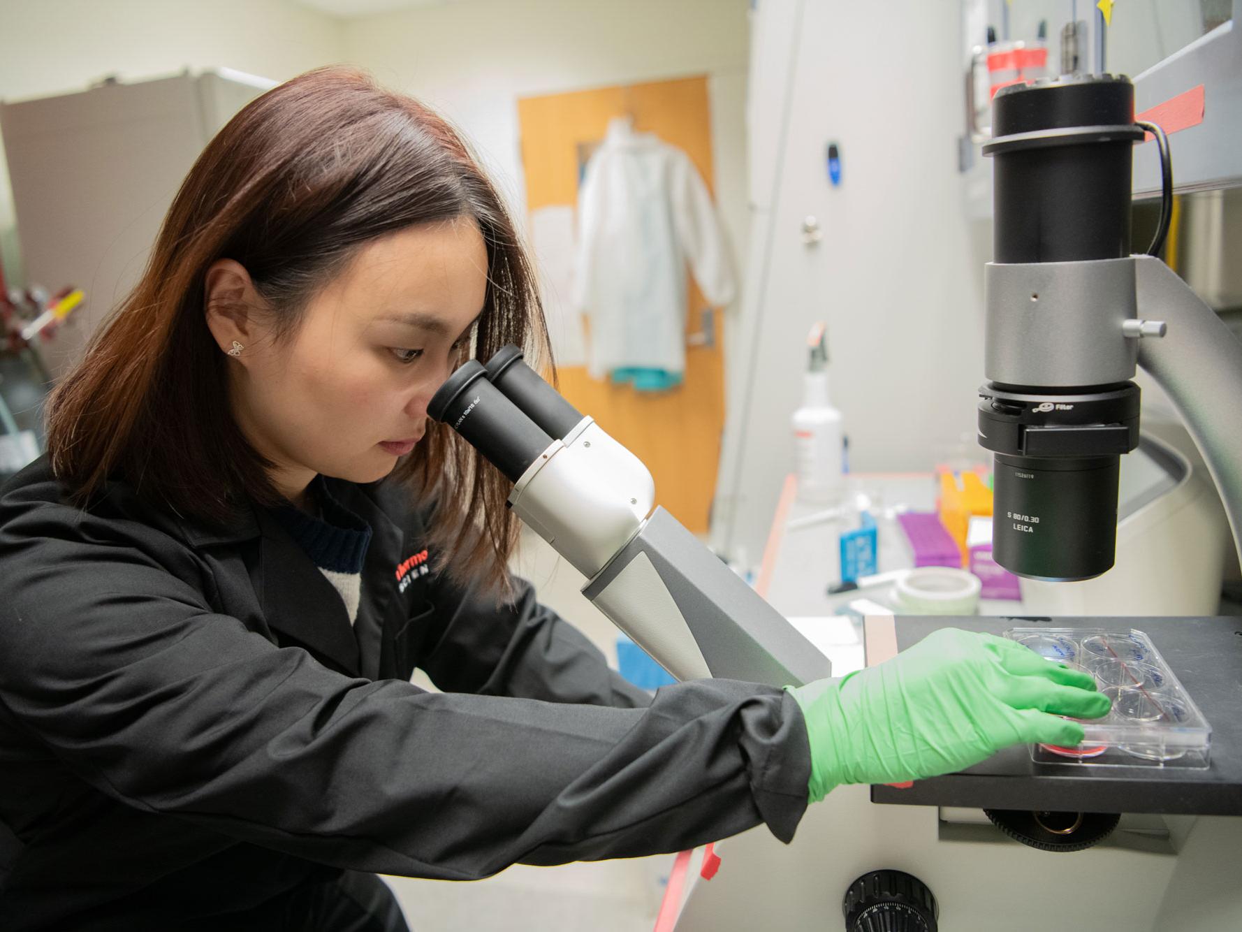 Jiawan Sun looks into microscope