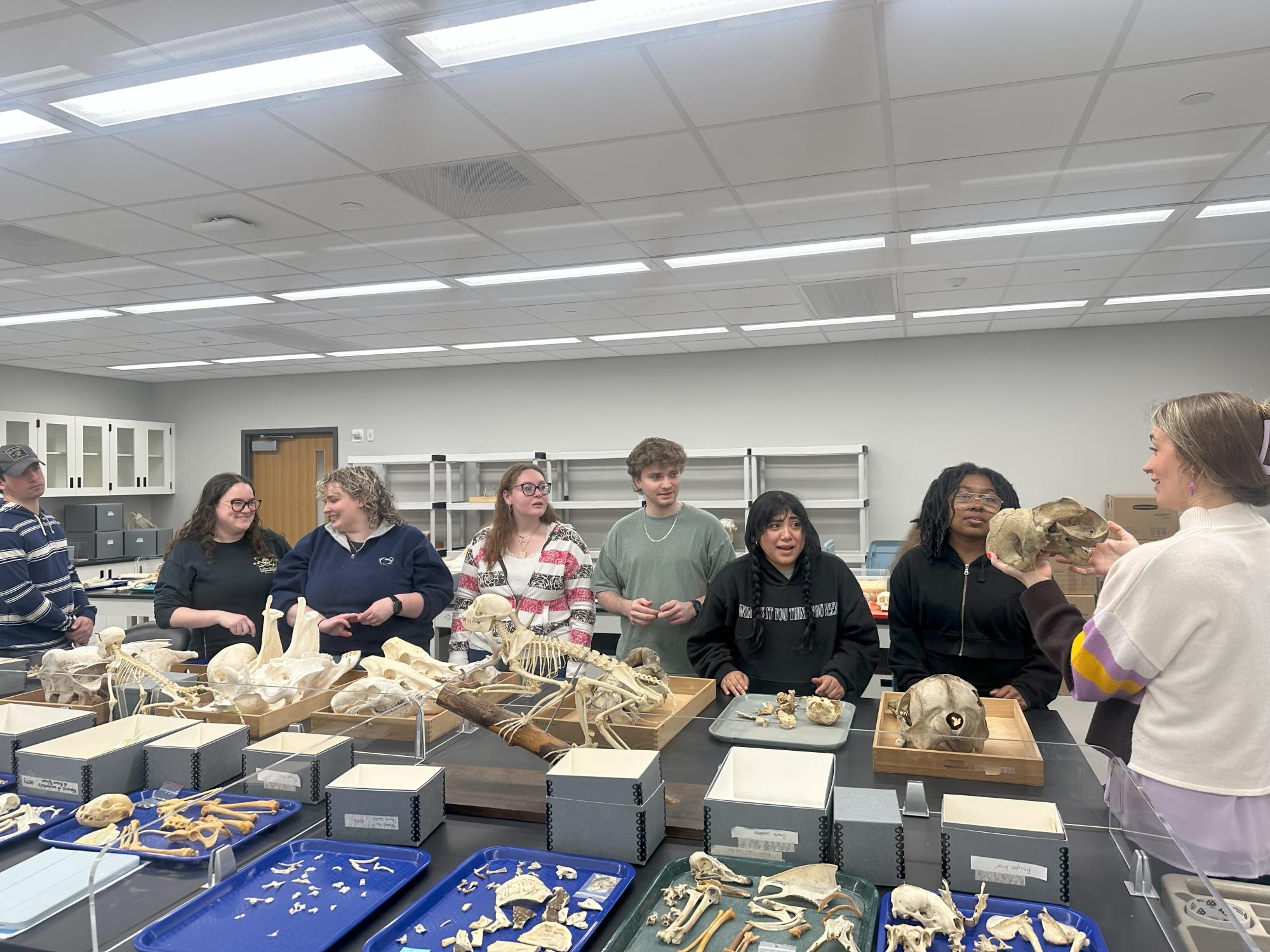 Students observe animal bones during the ARISE program 
