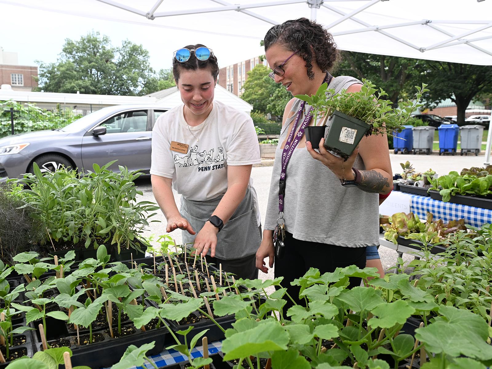 Two people talking among trays of small plants