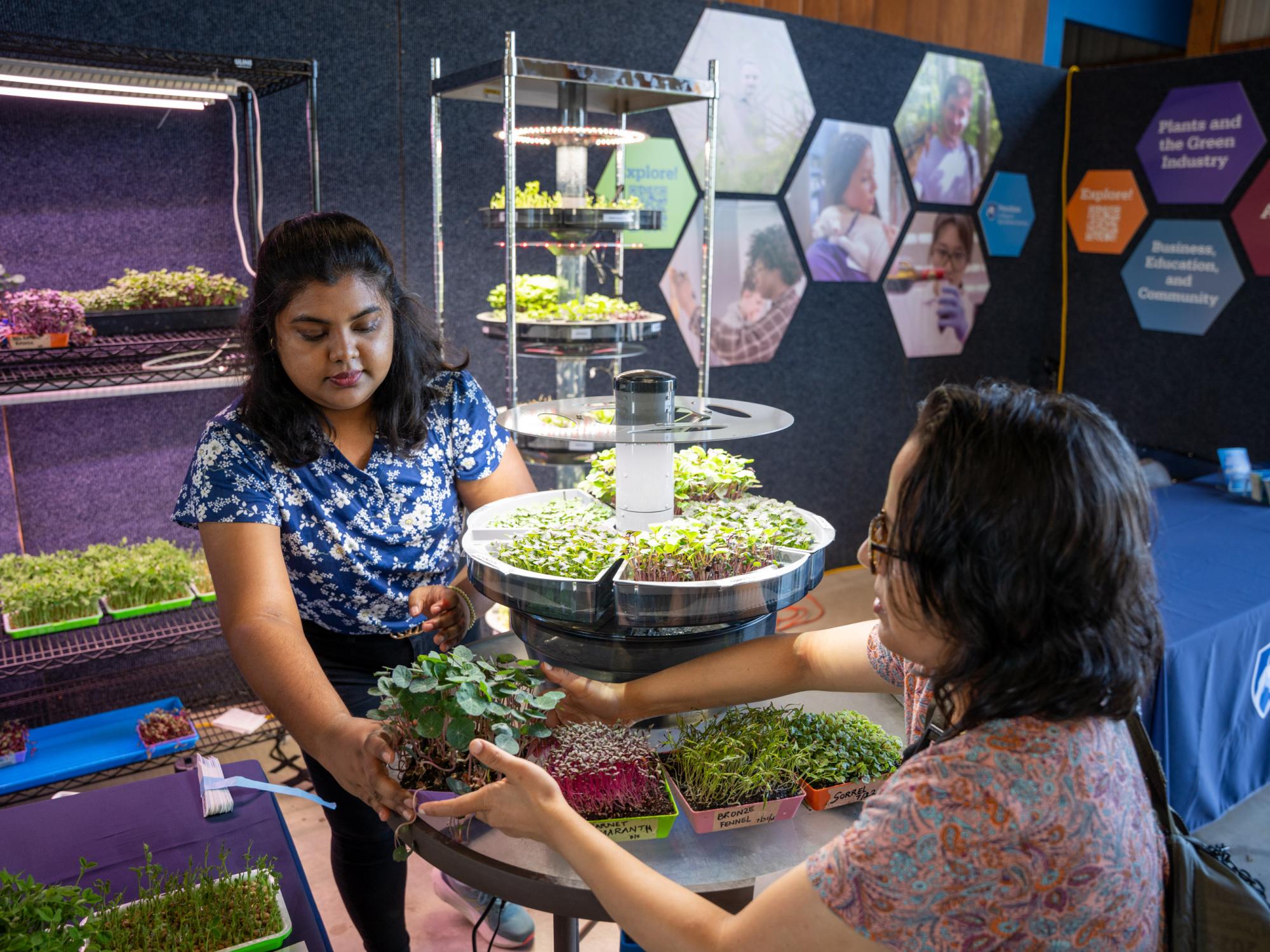 Two individuals showcase plasma seed treatment technology