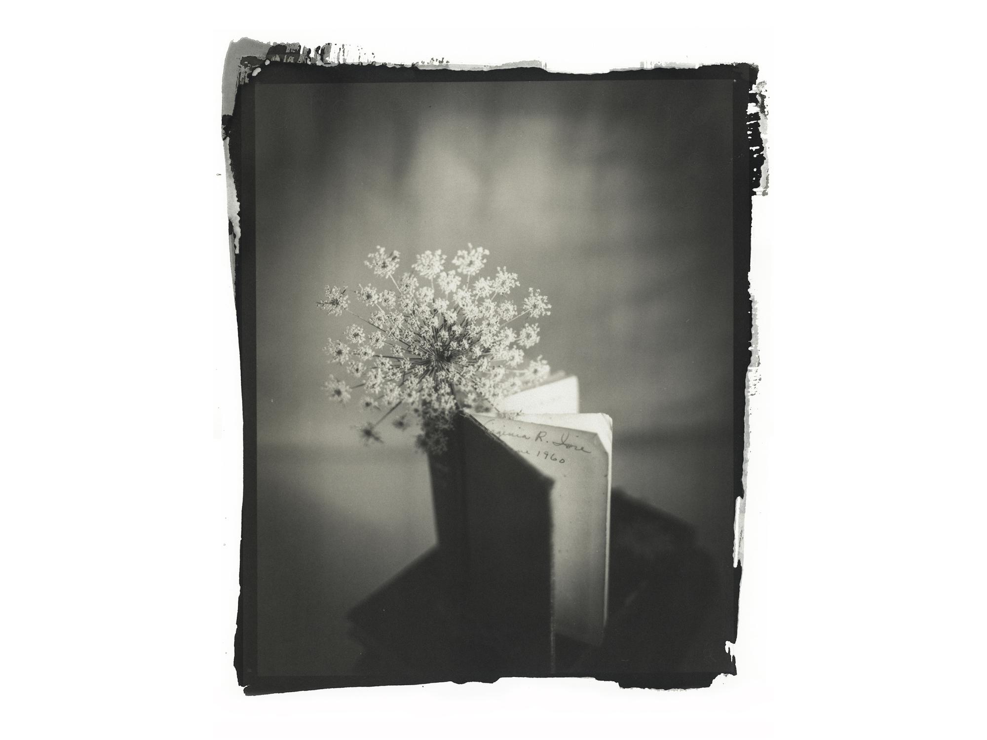A black and white artwork photo of a flower and a book