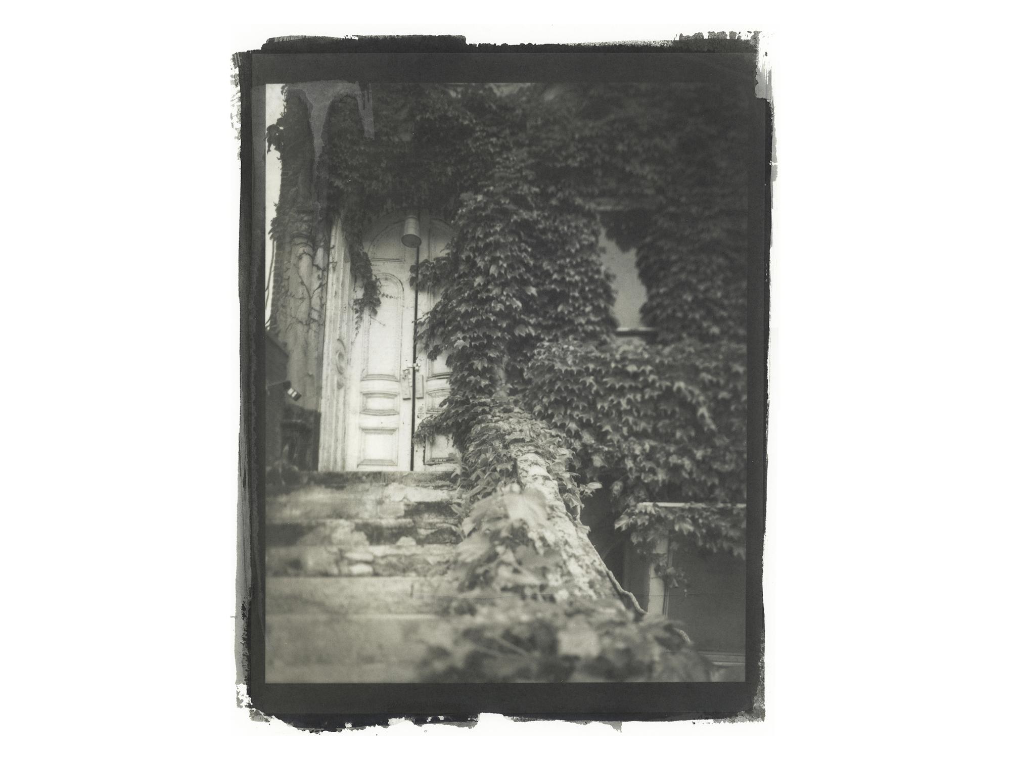 a black and white artwork photo of a door overgrown with ivy