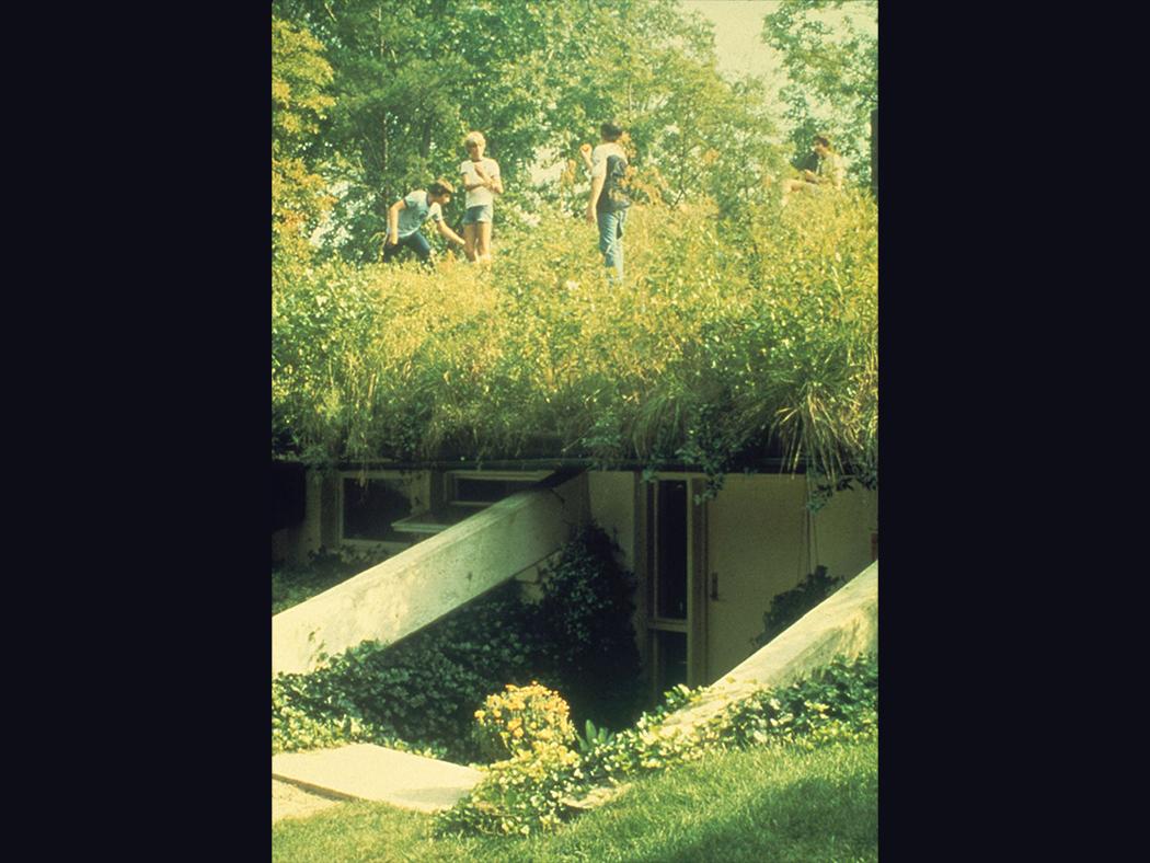 An image of the north façade and vegetation-covered roof of a home in Solaria-Vincentown-New Jersey.