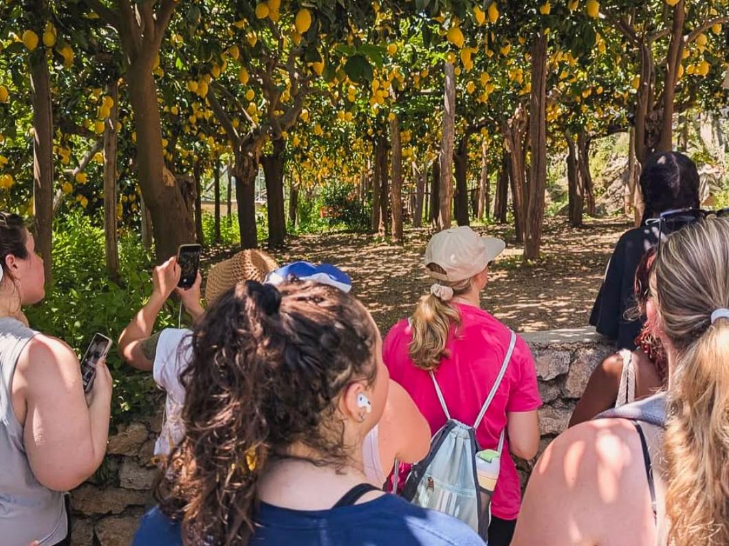 Students explore a lemon grove in Maiori and Minori on the Amalfi Coast.