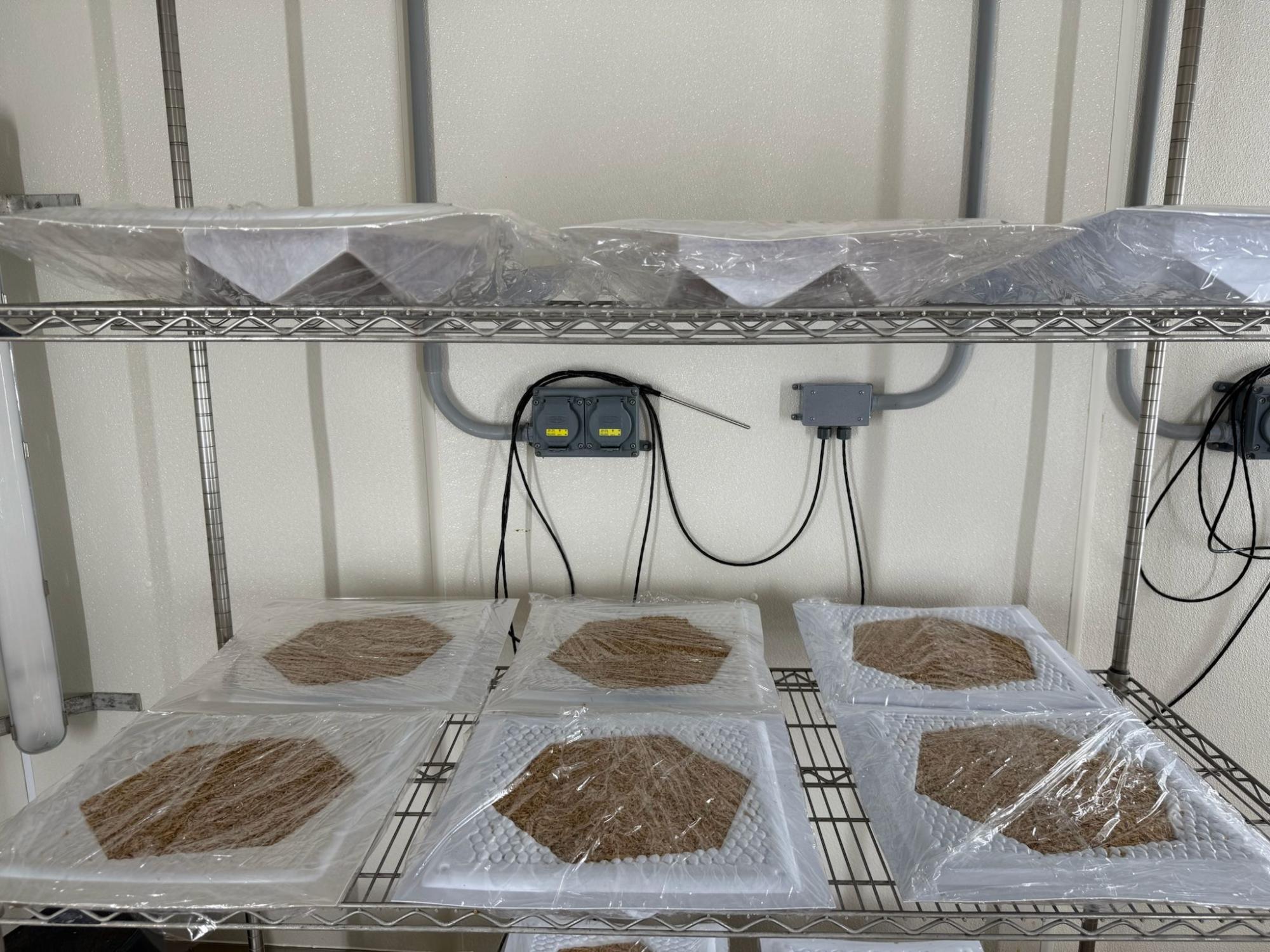 Mycelium components within formworks on drying racks in a lab.