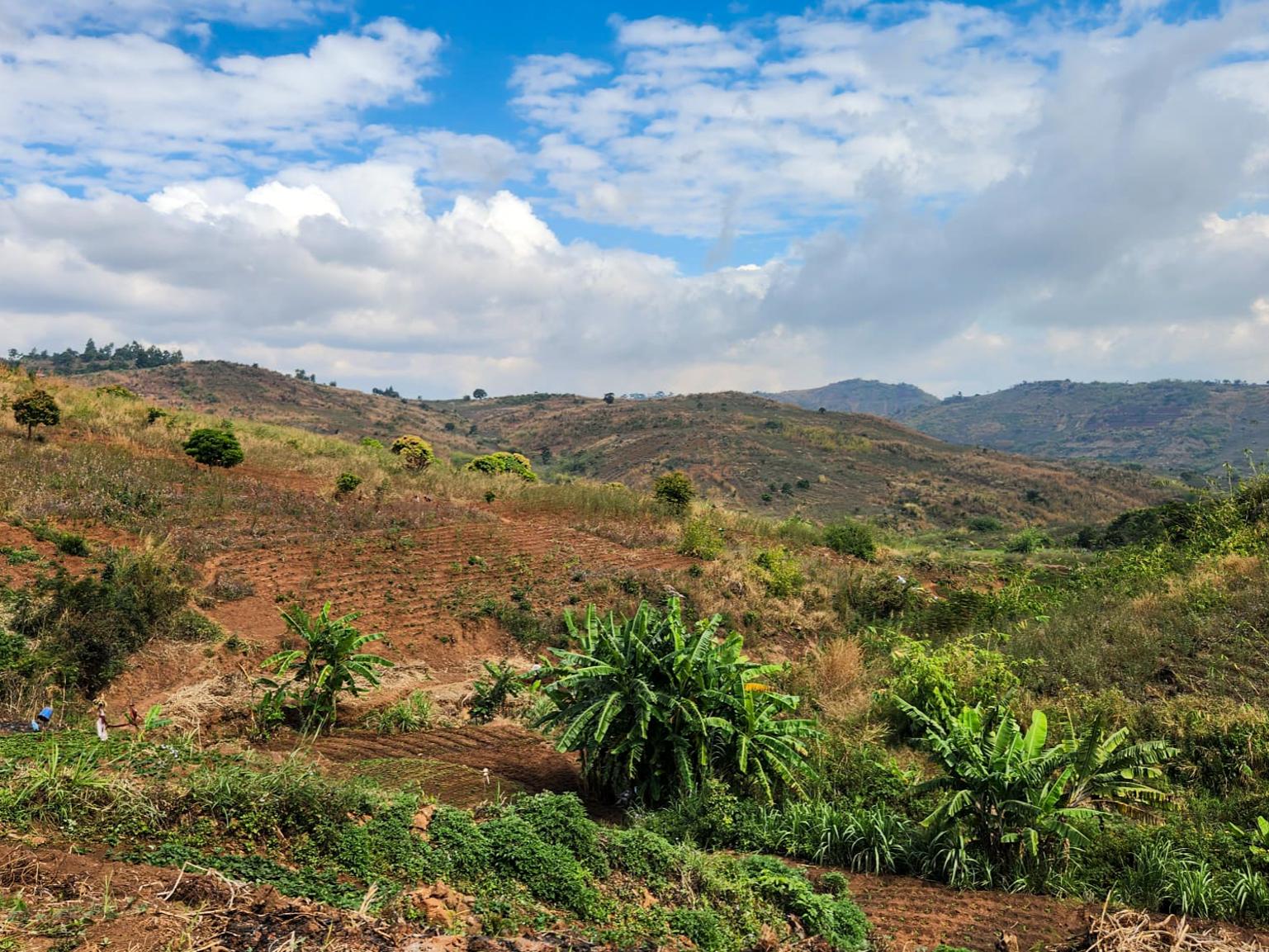 A vast, hilly landscape under a bright blue sky with scattered clouds. The terrain is lush with green vegetation and sparse trees.