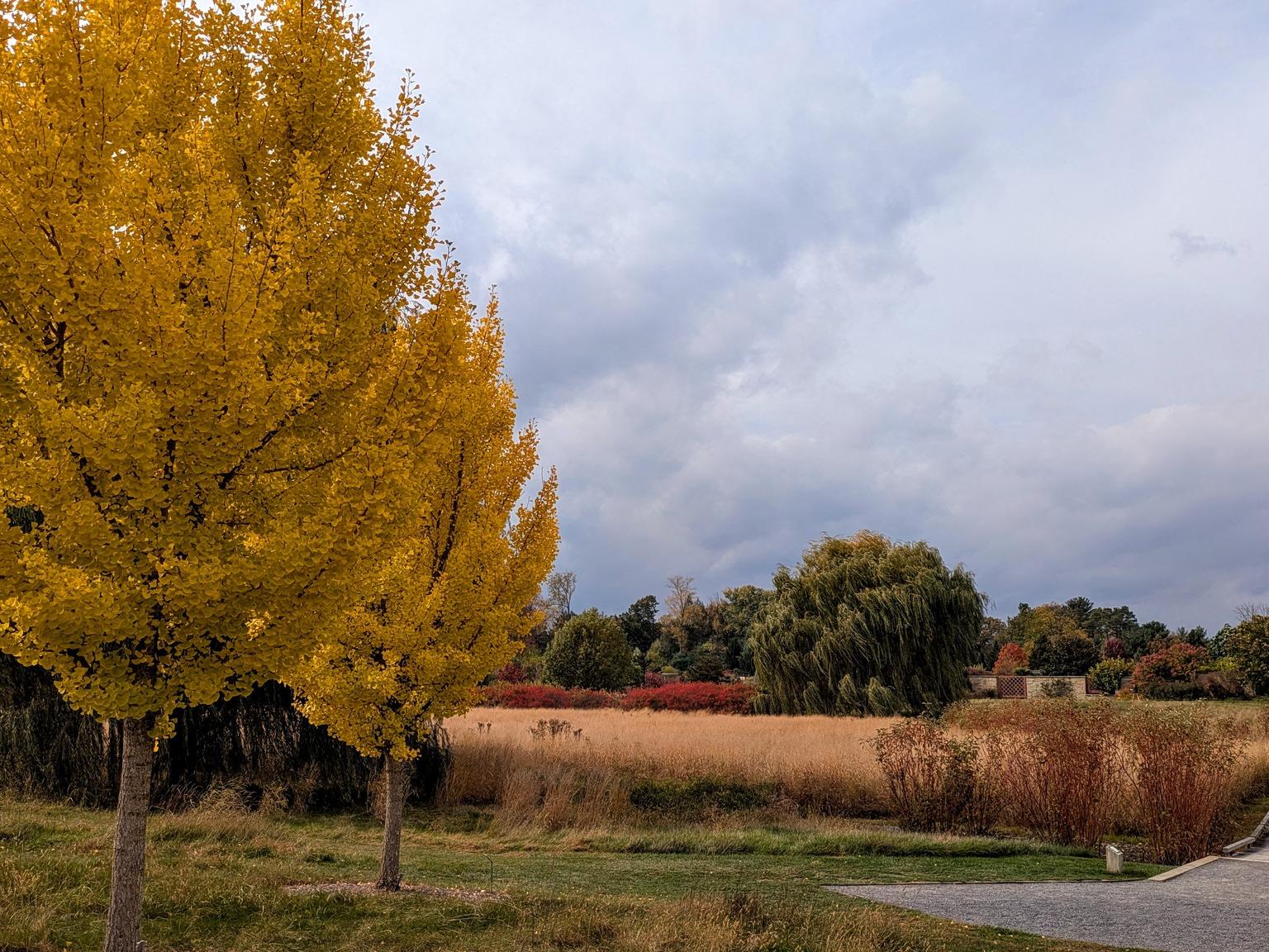 A wide view of a picturesque landscape in autumn