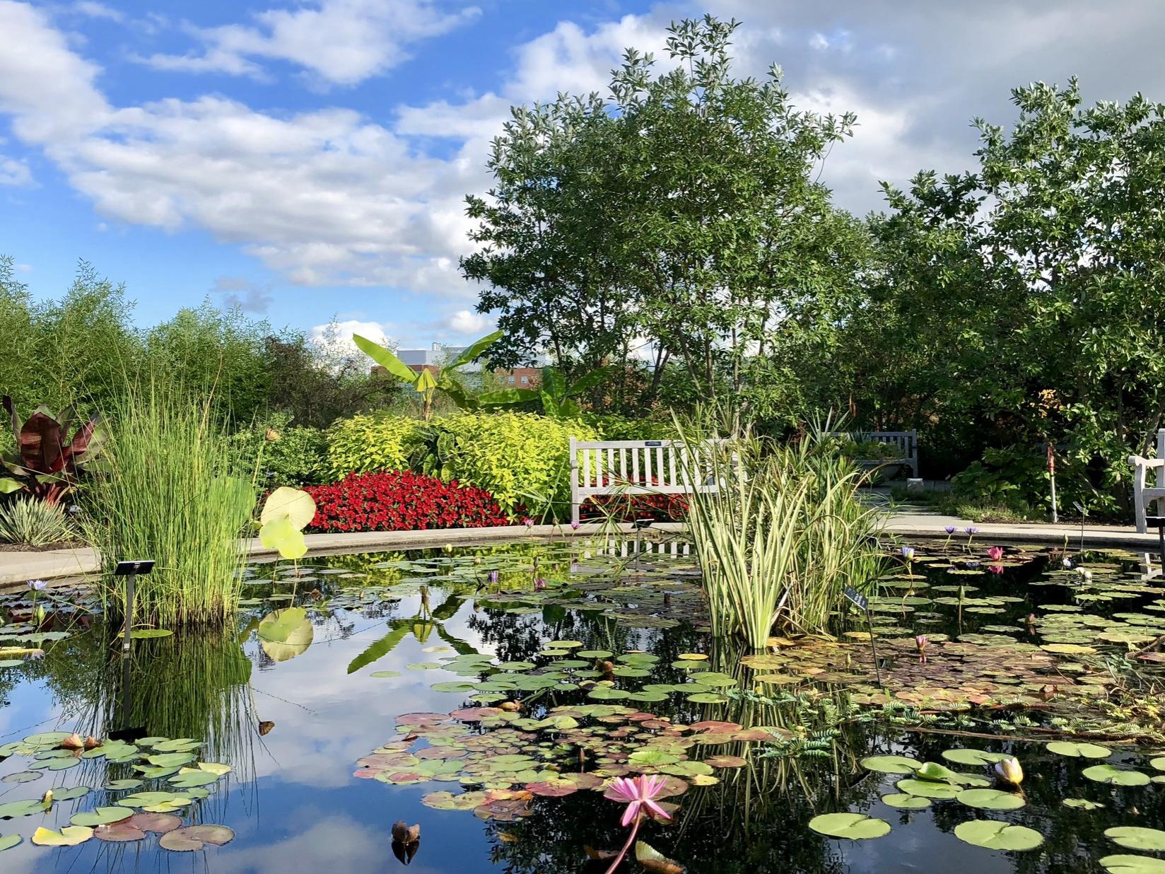 A picture of bright flowers and plants behind and in a fountain