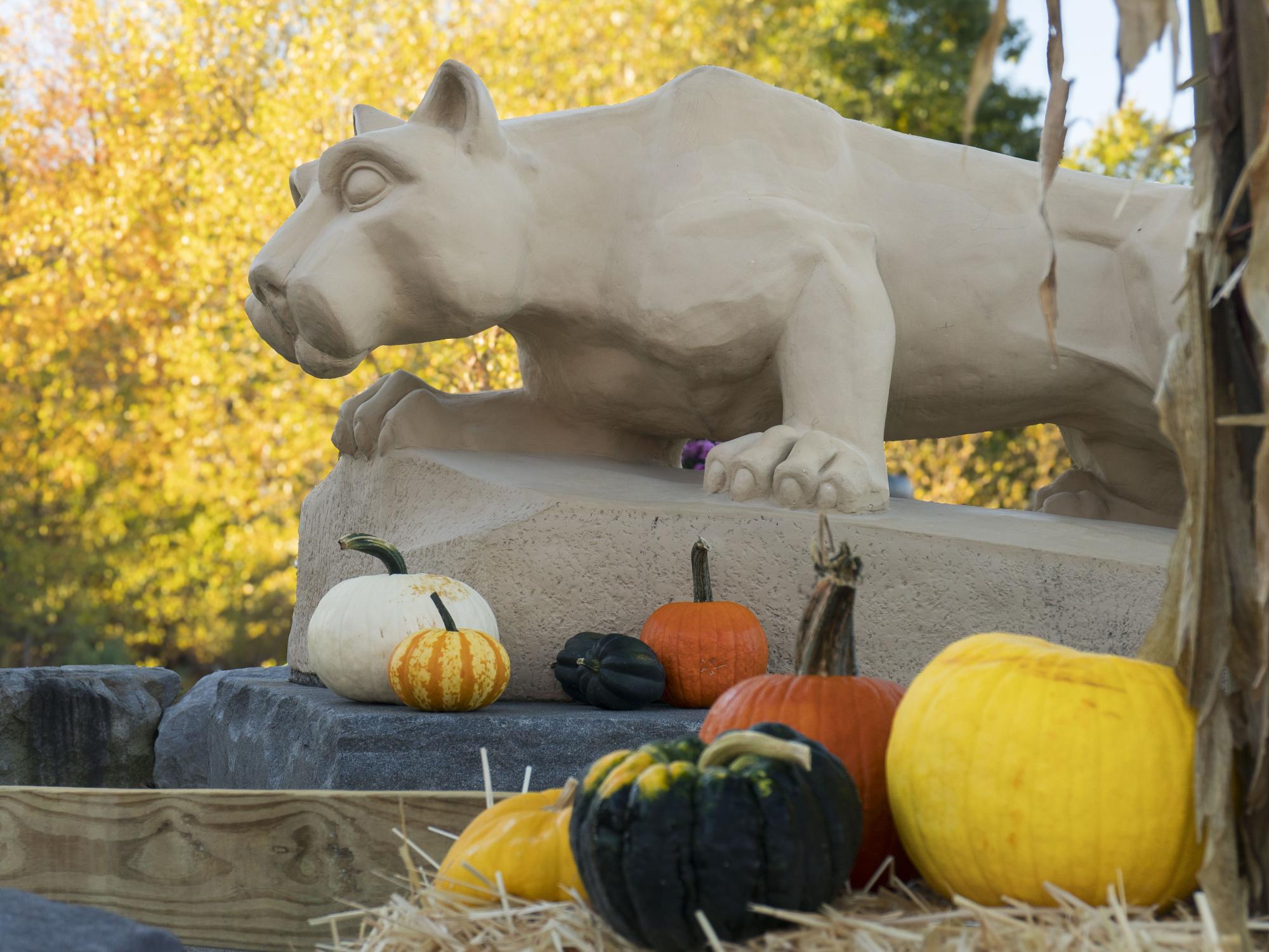 A picture of a Nittany Lion shrine surrounded by colorful pumpkins