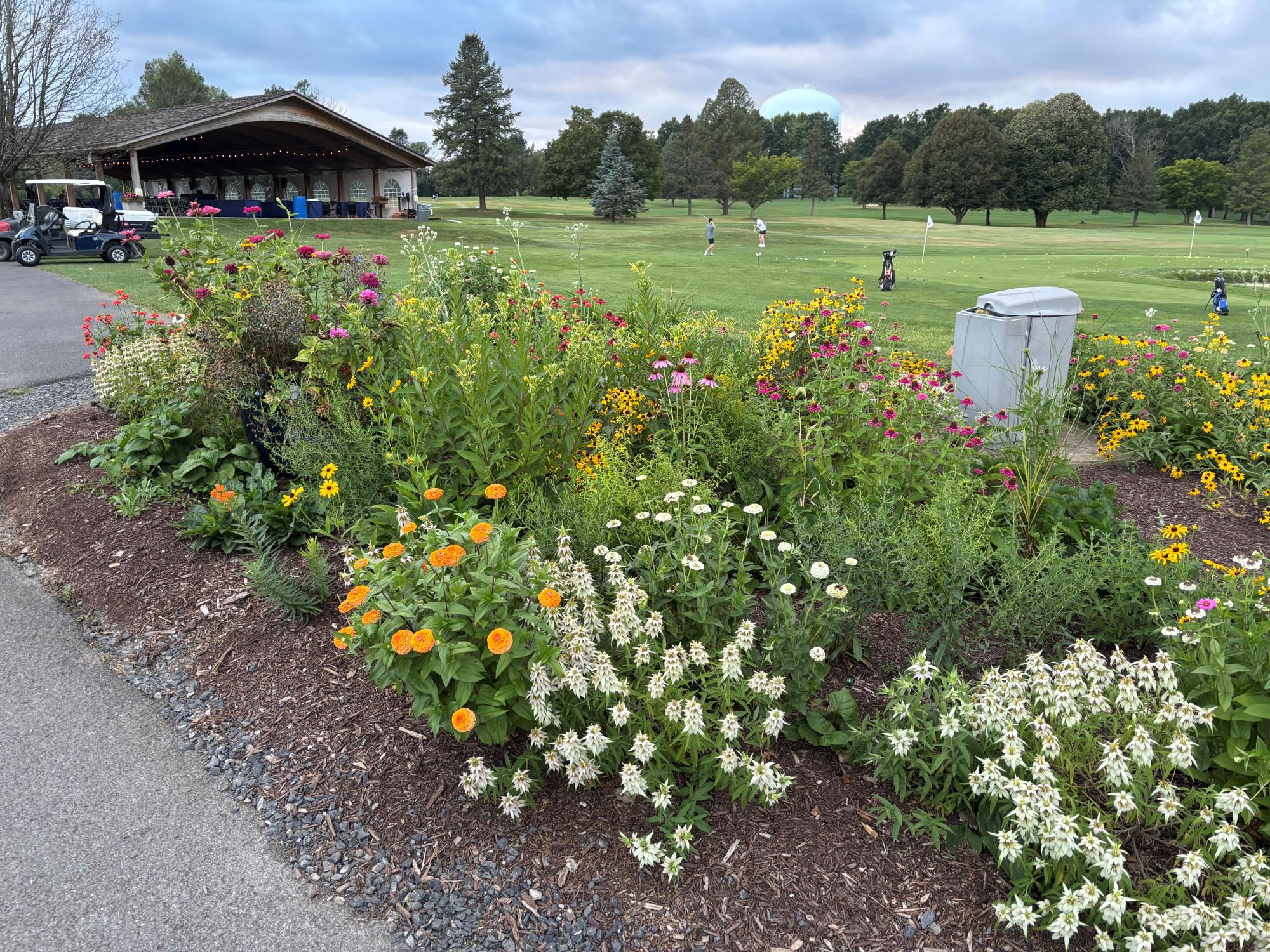 Perennial flowers blooming in a garden next to a Penn State golf course