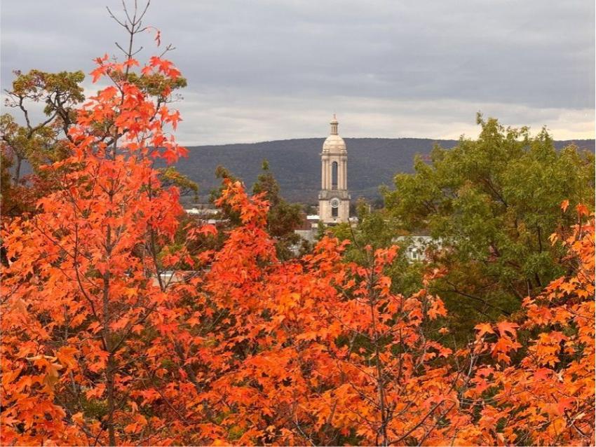 A picture of Old Main's bell tower above orange autumn leaves