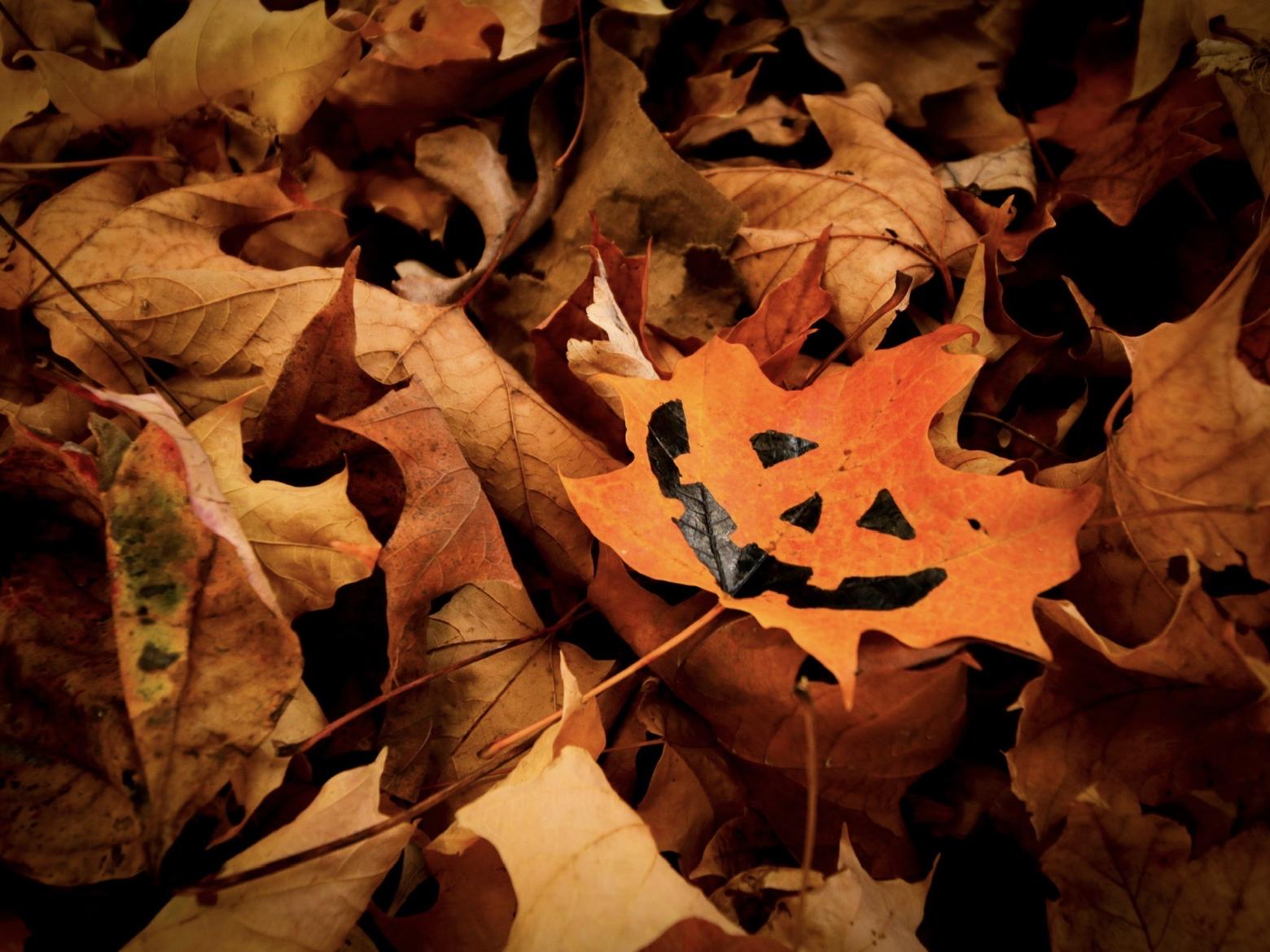 A jack-o'-lantern face drawn on an orange leaf