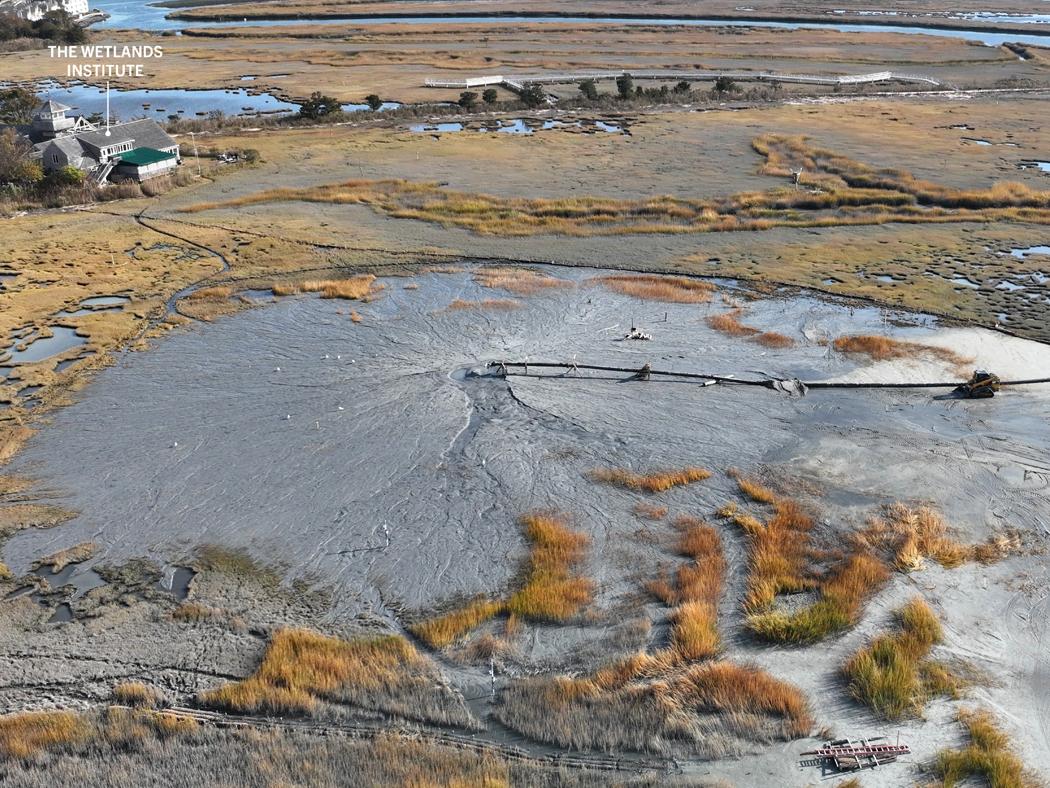 Aerial view of a muddy wetland with sparse vegetation patches, featuring a sign reading "The Wetlands Institute" near a building in the top left corner.