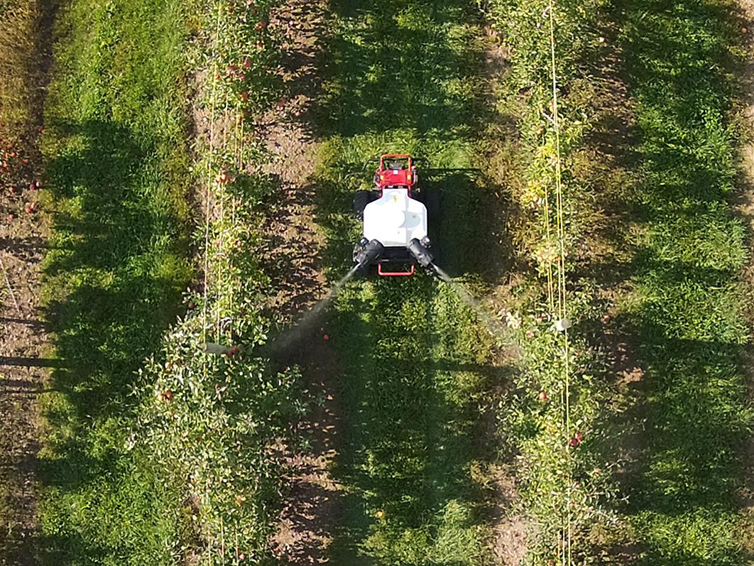 robot traversing orchard