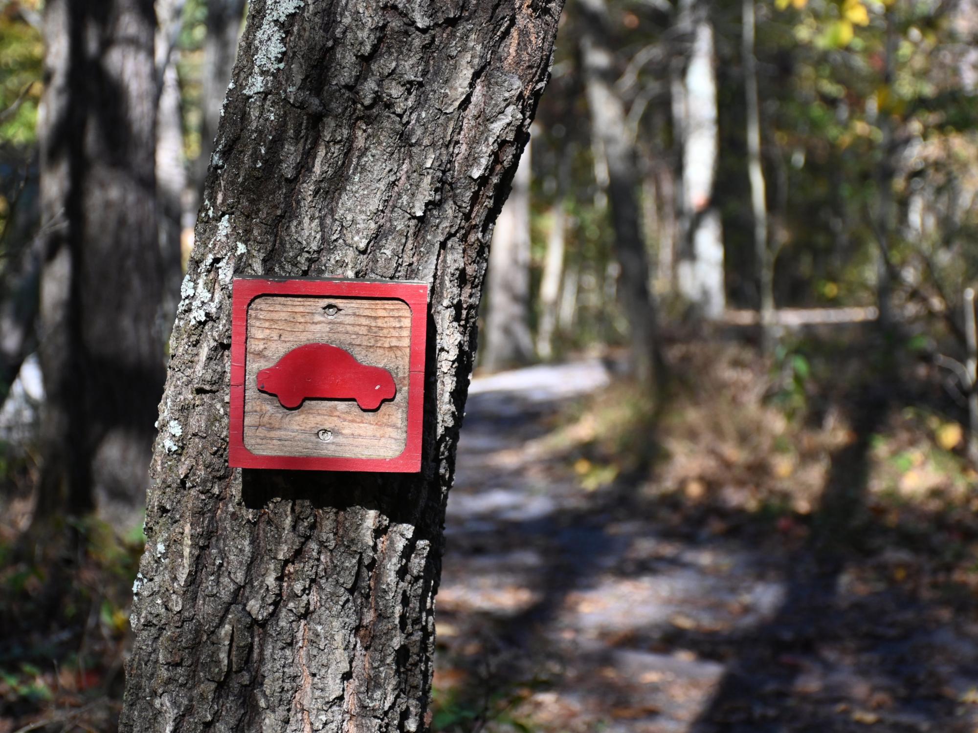Wooden sign with a red car painted on it fastened to a tree