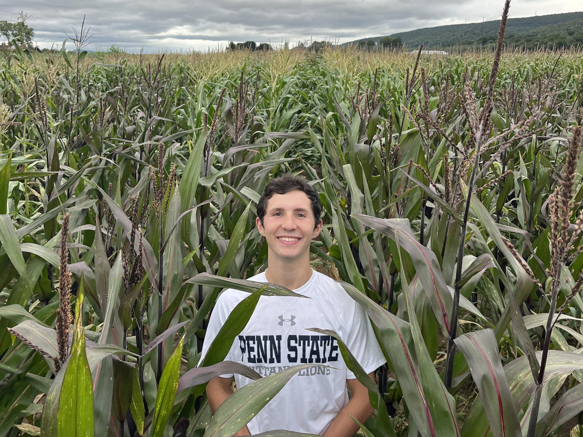 A student researcher in a cornfield