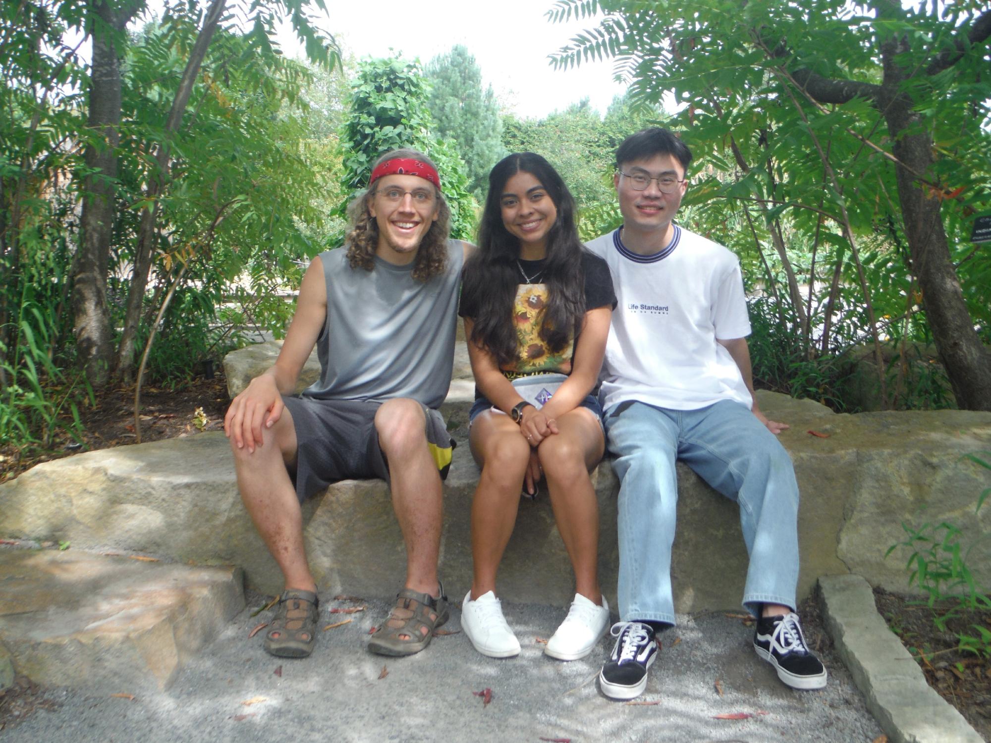Two young men and a young woman sitting together on a rock