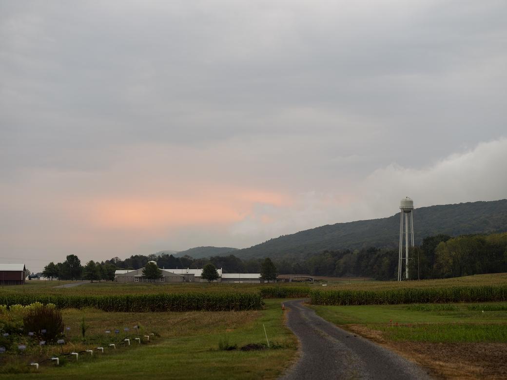 The pink of a sunrise blooms above a Pennsylvania farm featuring fields, a barn and silo.