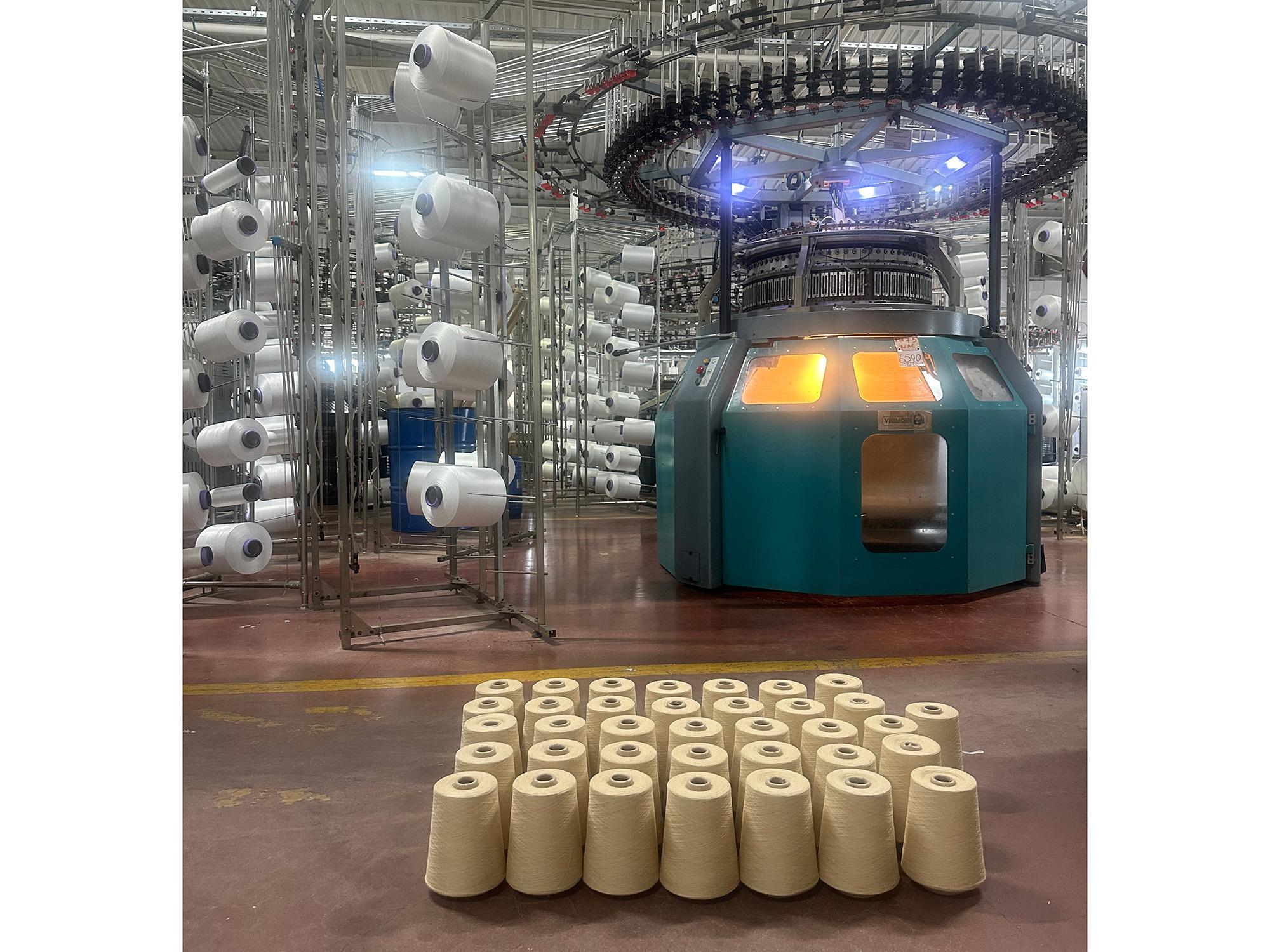 発酵廃棄物から自然繊維を製造（Fermentation Waste Used to Make Natural Fabric）