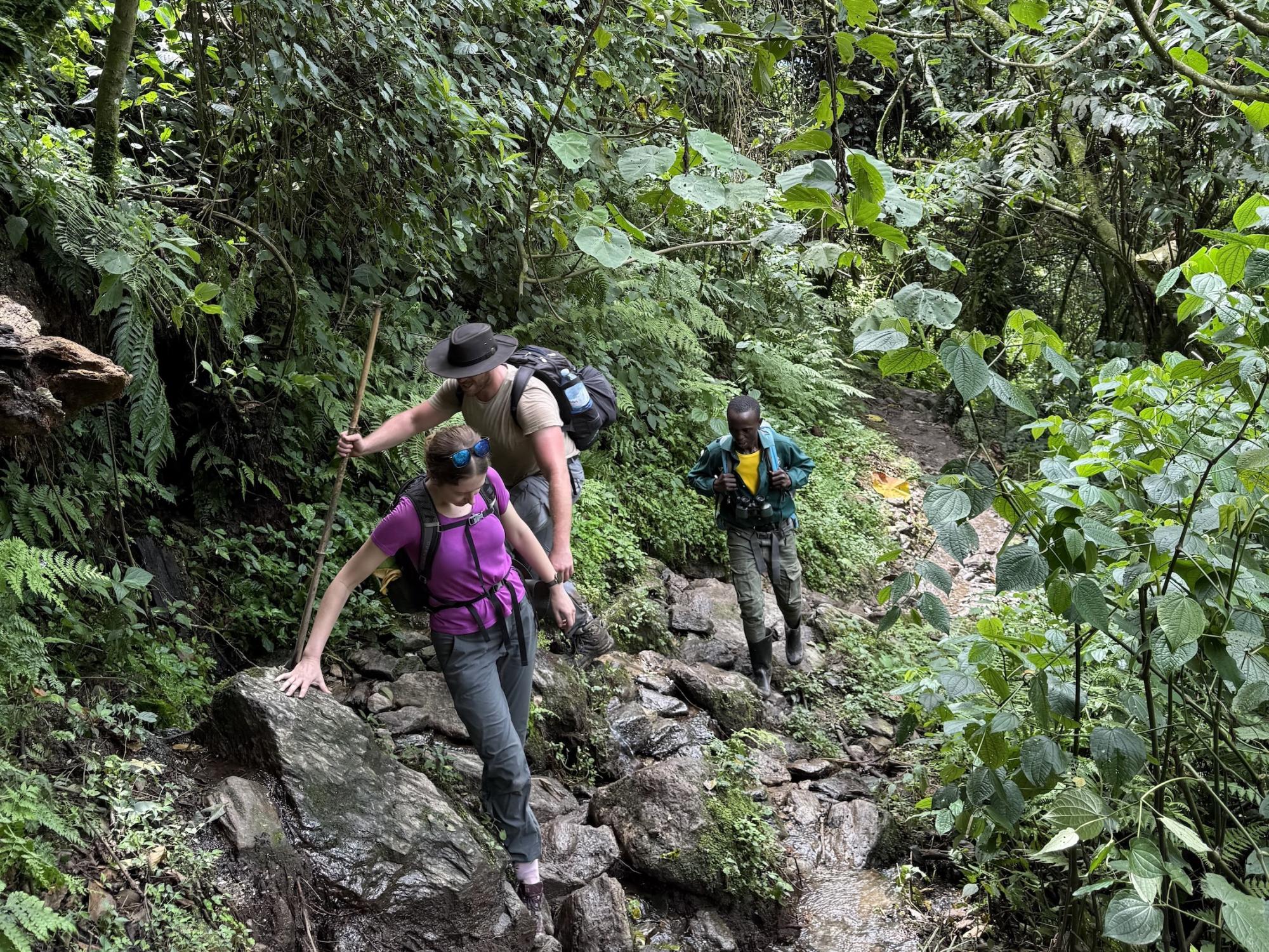 Collaborators including Penn State faculty member Sarah Ivory begin a three-day trek in the Rwenzori Mountains in June 2025.