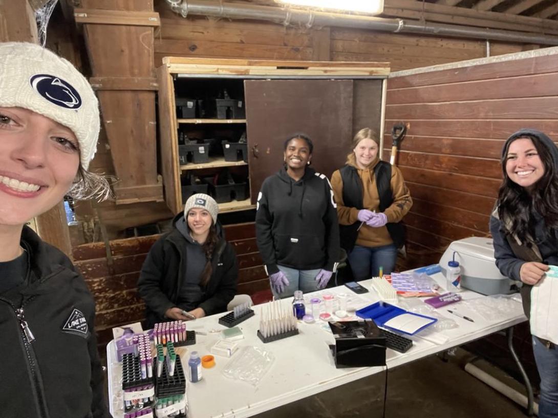 research in horse barn
