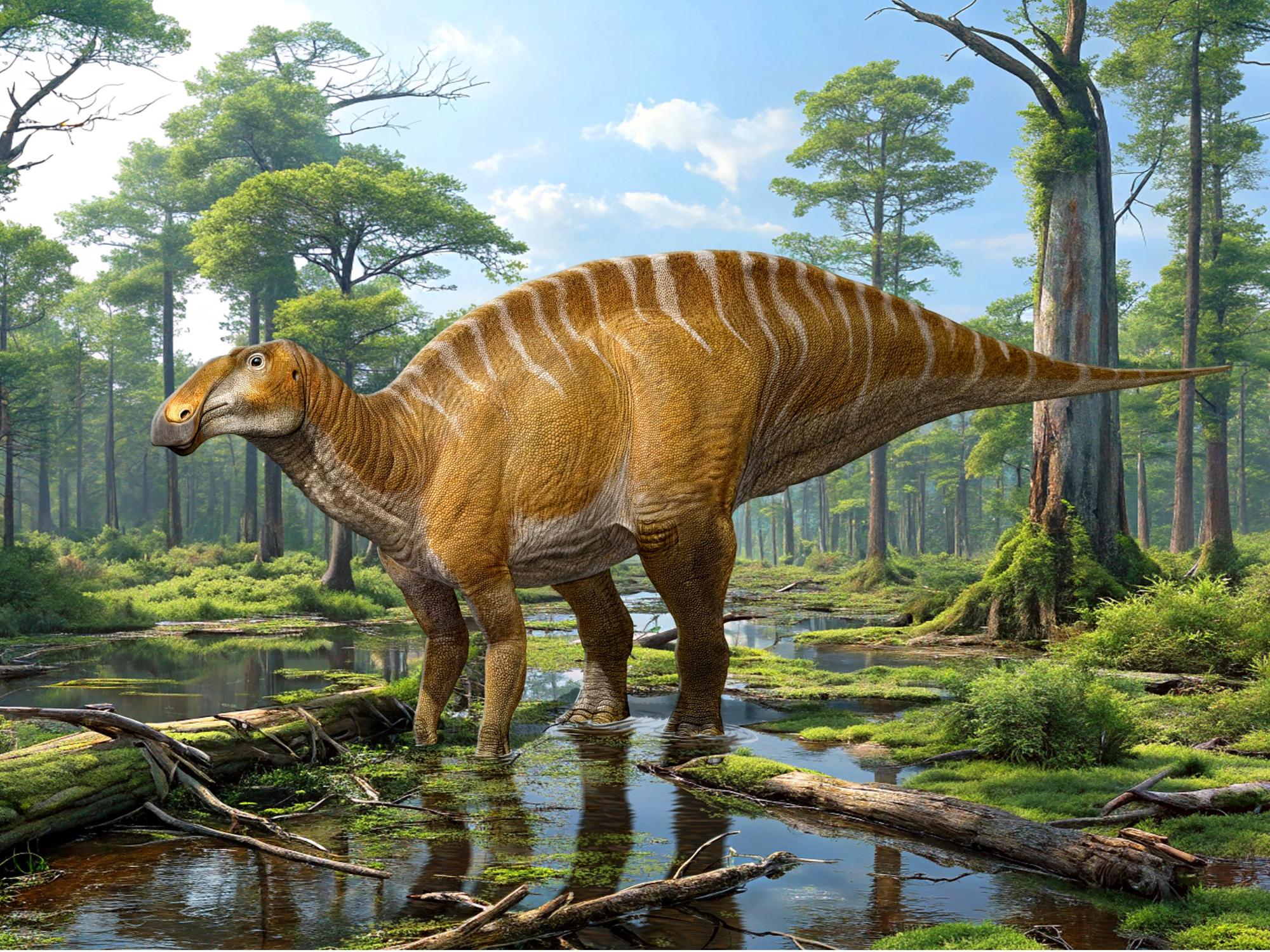 新種の巨大ハドロサウルスを発見（New Massive Duck-Billed Dinosaur Species Identified）