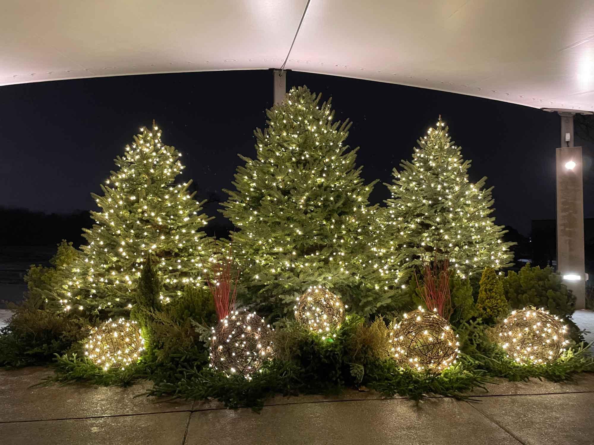 Three trees arranged in the center of the pavilion at the Arboretum