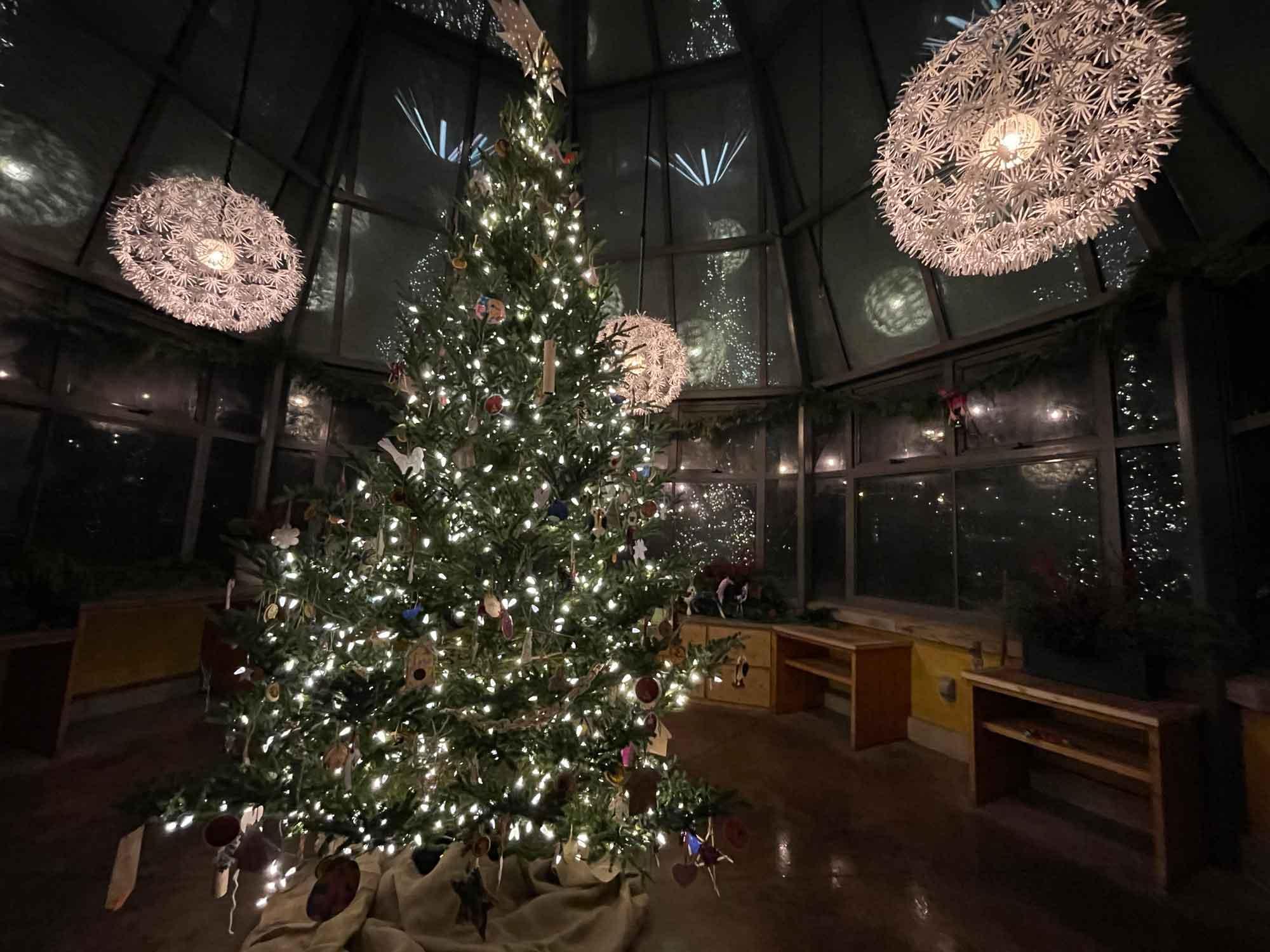  Celebrating Winter's Glow at the Arboretum at Penn State 