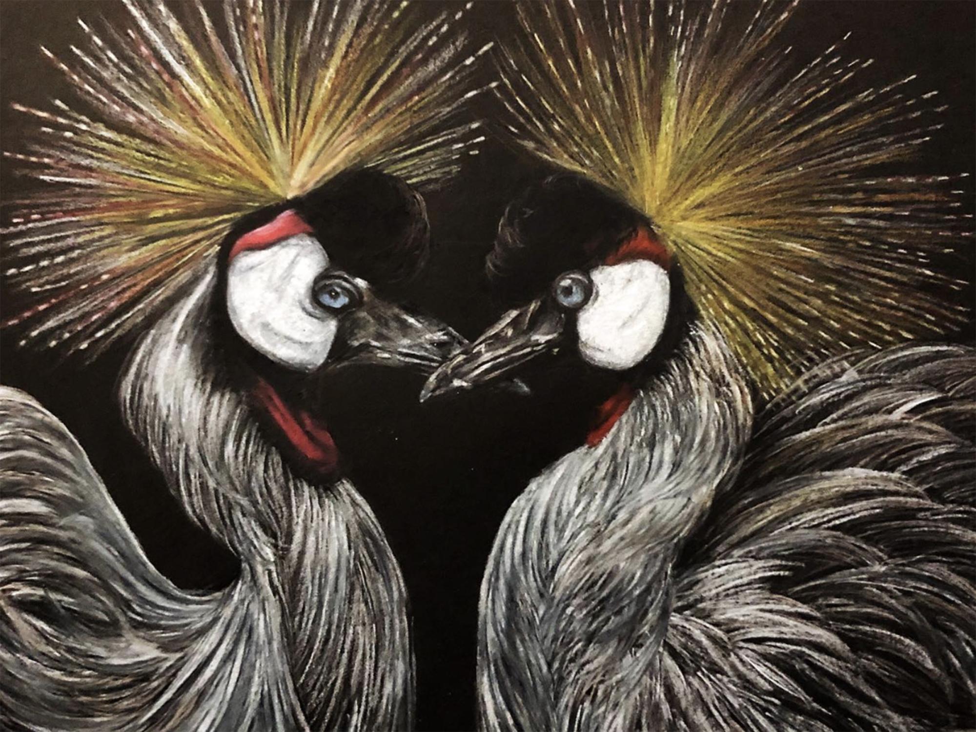 drawing of grey crowned cranes
