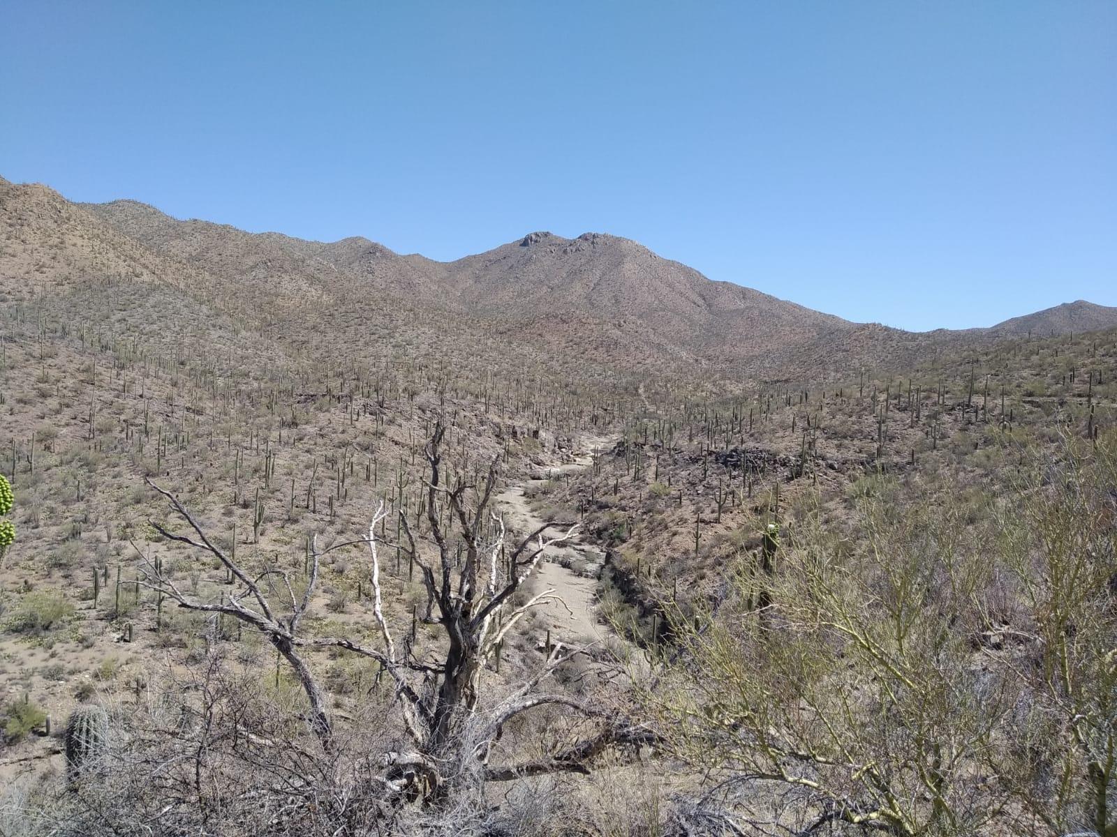 Image of a mountain in the desert