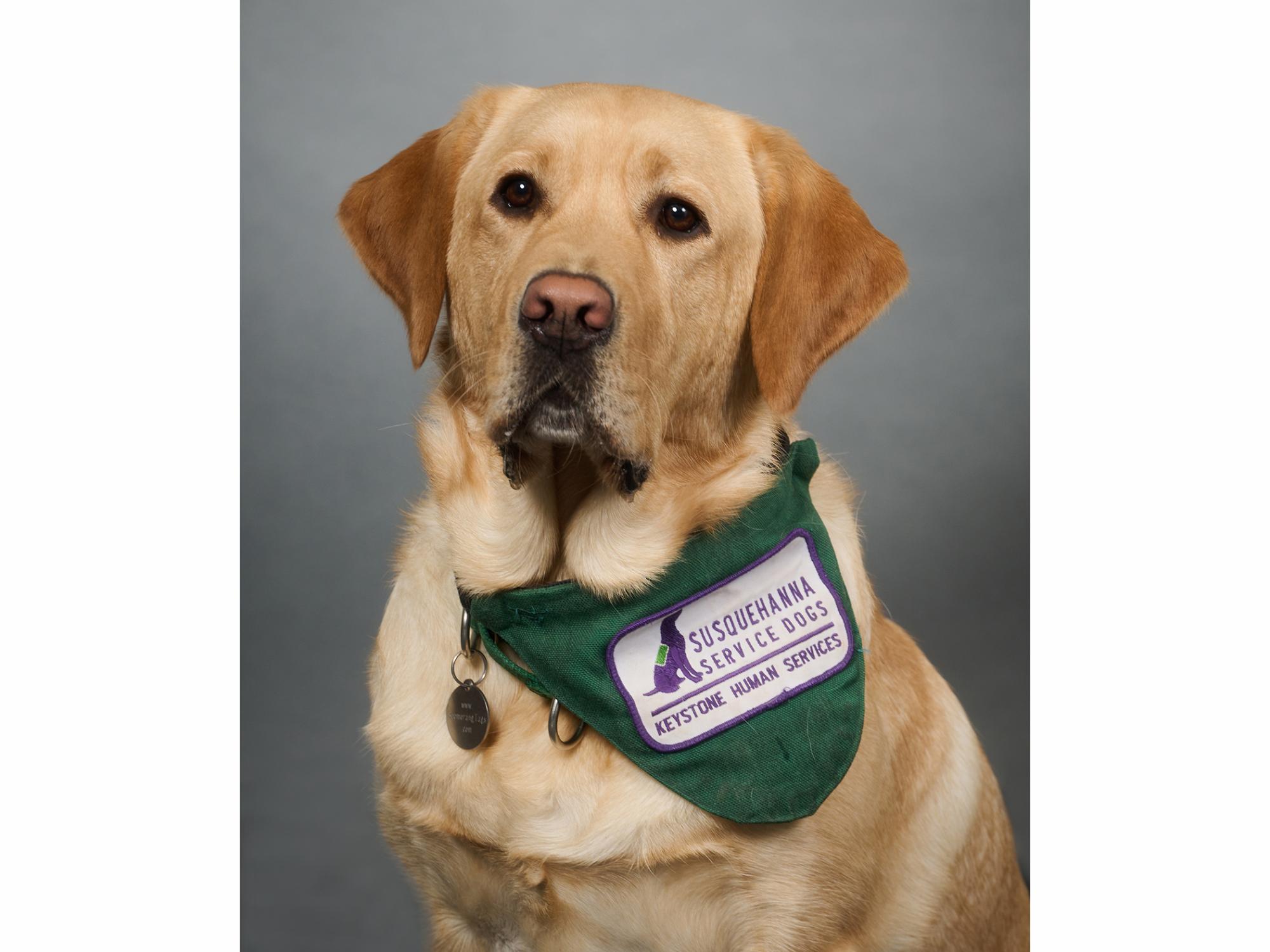  Gift will help student veterans thrive by extending service-animal program 