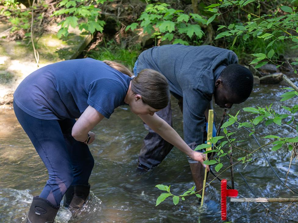 Kibuye and Preisendanz in water