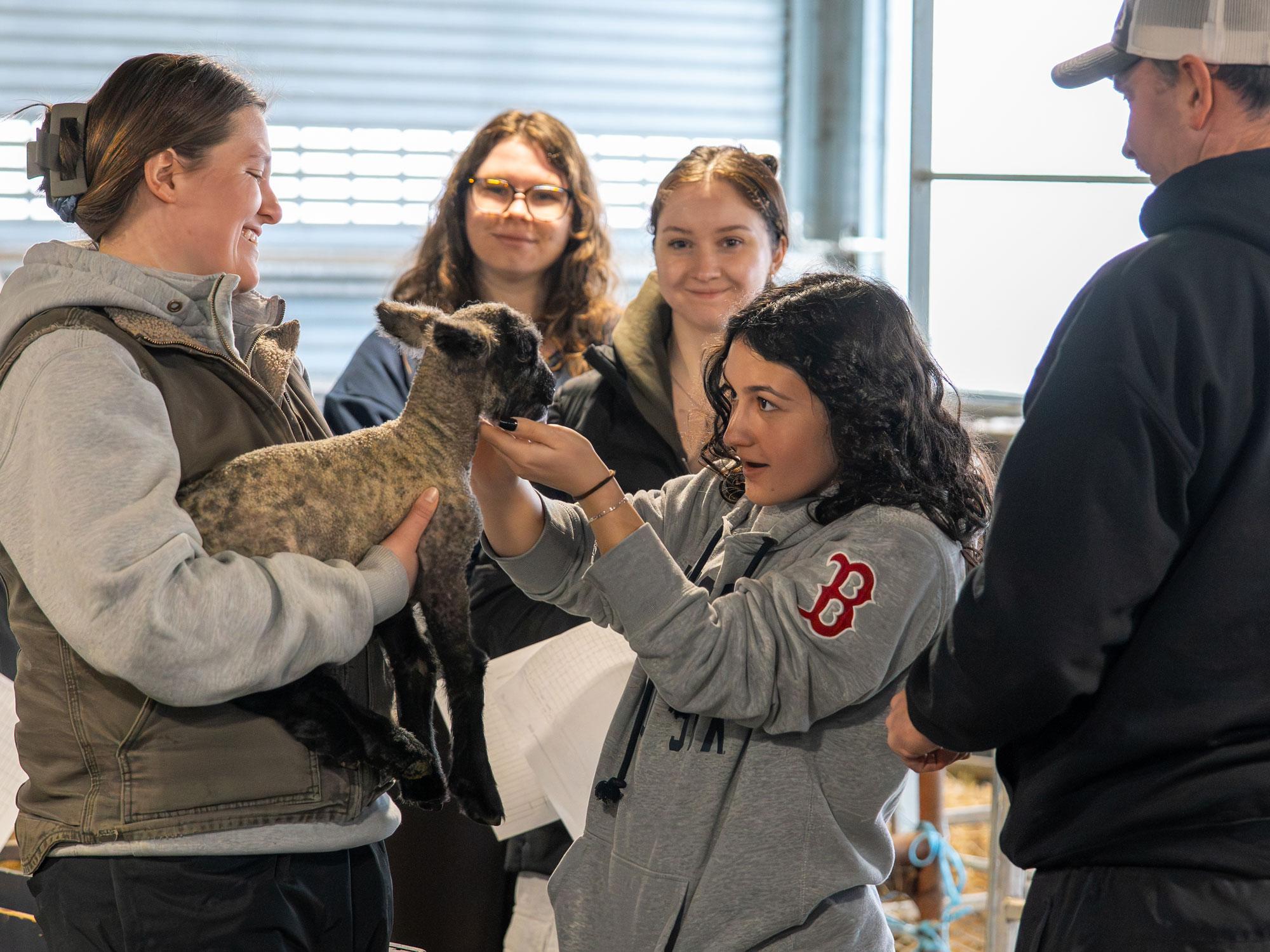 A woman shows a small lamb to other people