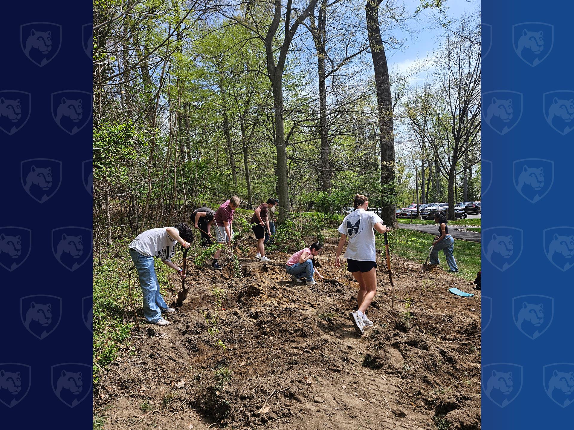 people planting trees