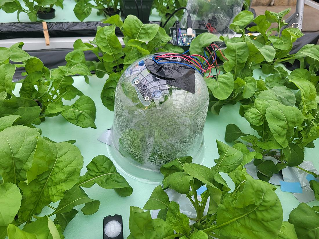dome with sensors