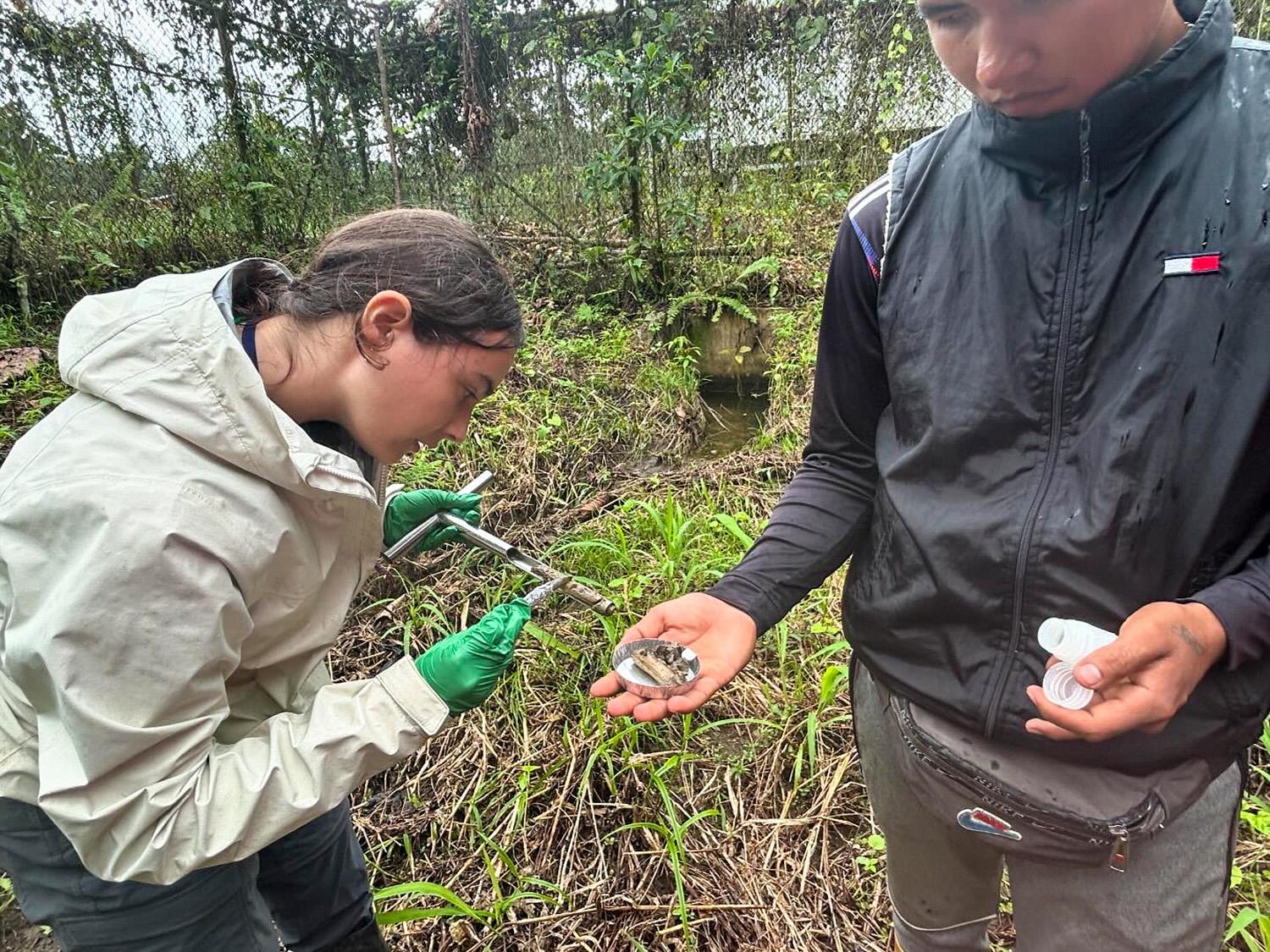 Two individuals in outdoor gear sample soil near a lush, fence-enclosed area. One holds a dish with soil, while the other scoops it with a tool.