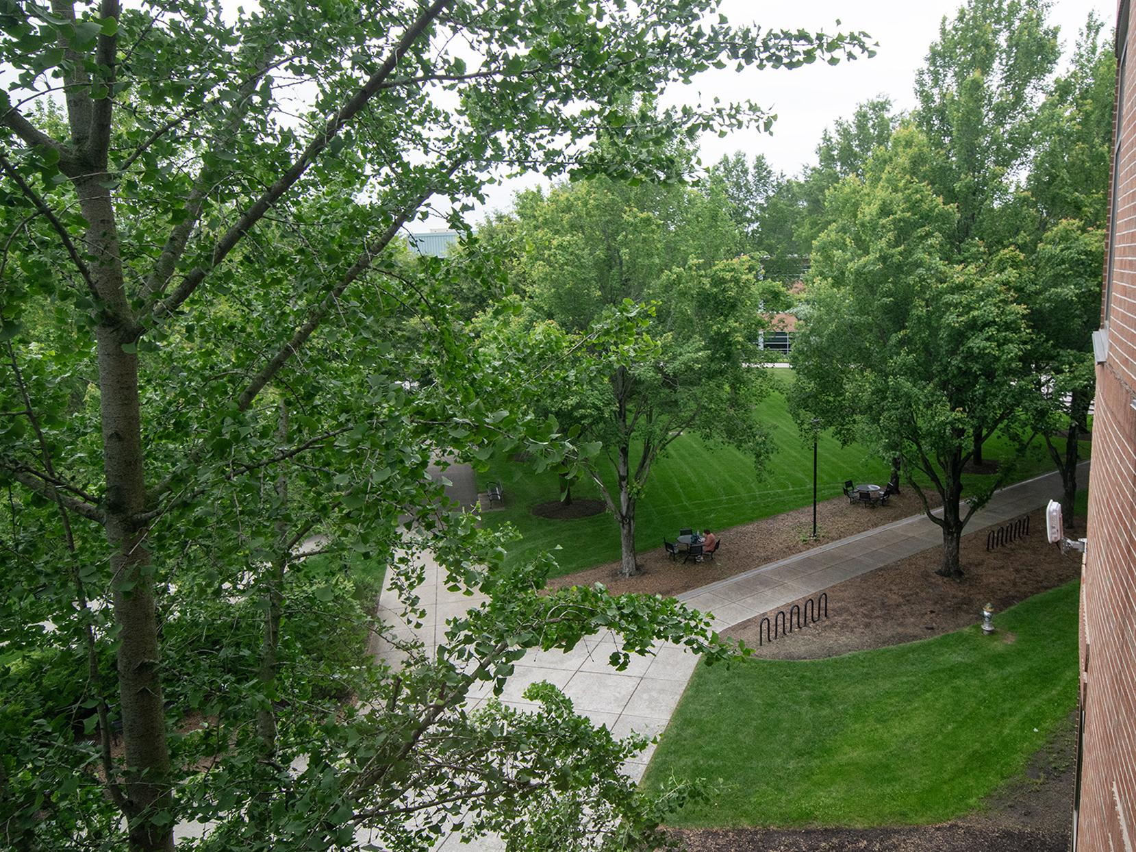 View looking down on trees on the Penn State Harrisburg campus