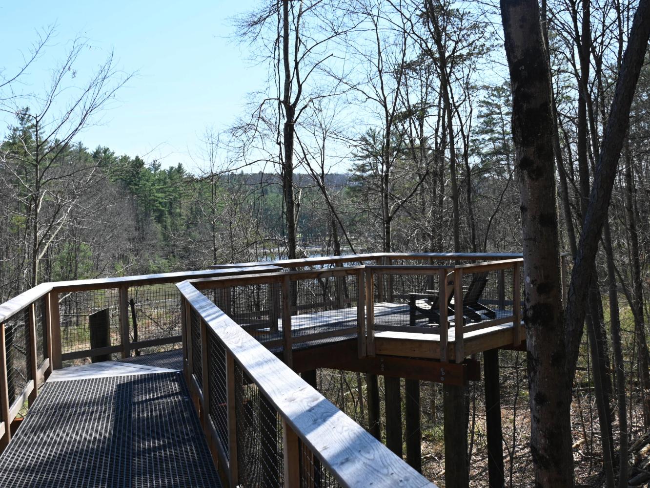 Raised wooden walk and platform amongst trees