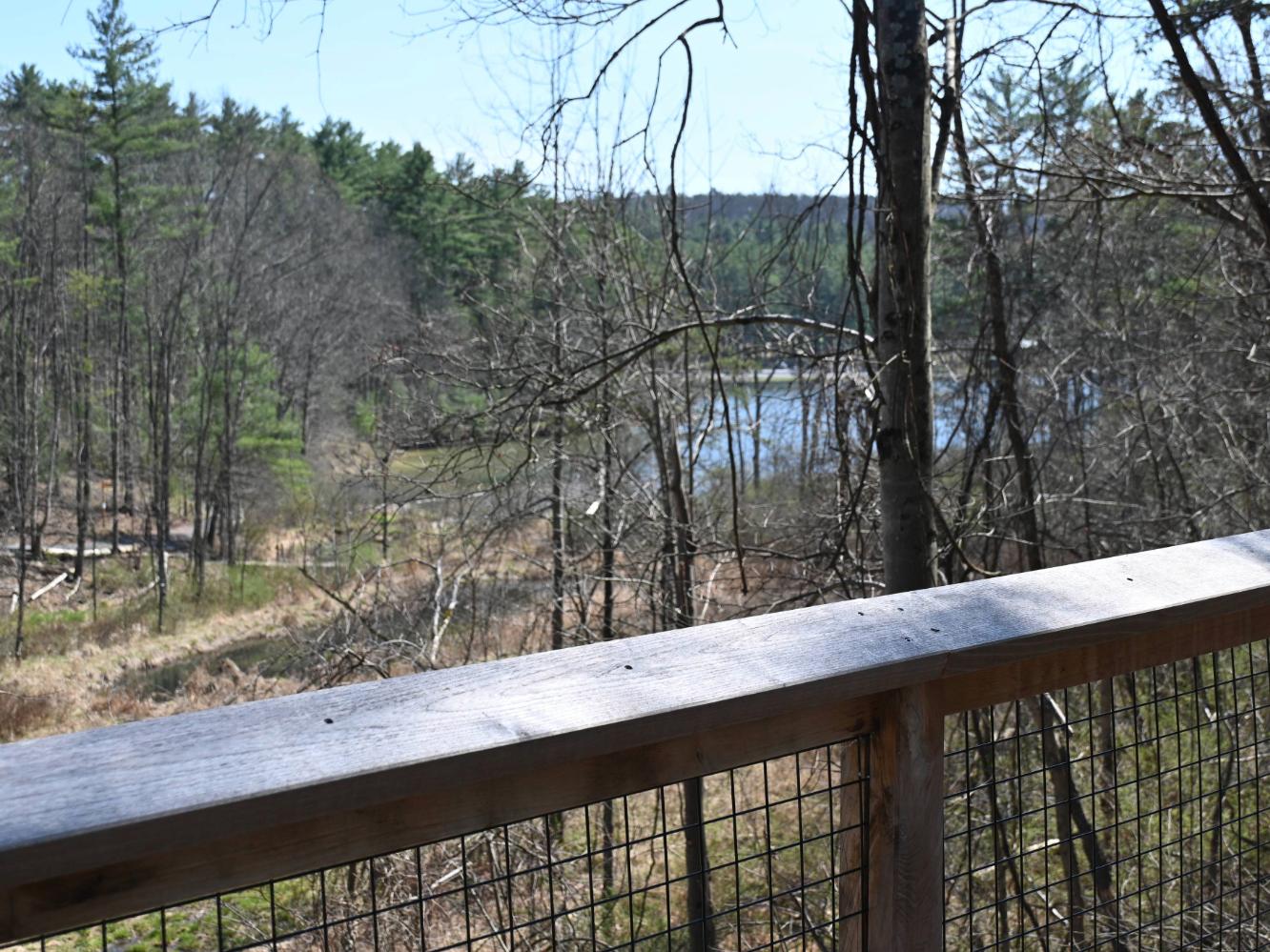 View from a raised wooden platform overlooking a lake and trees