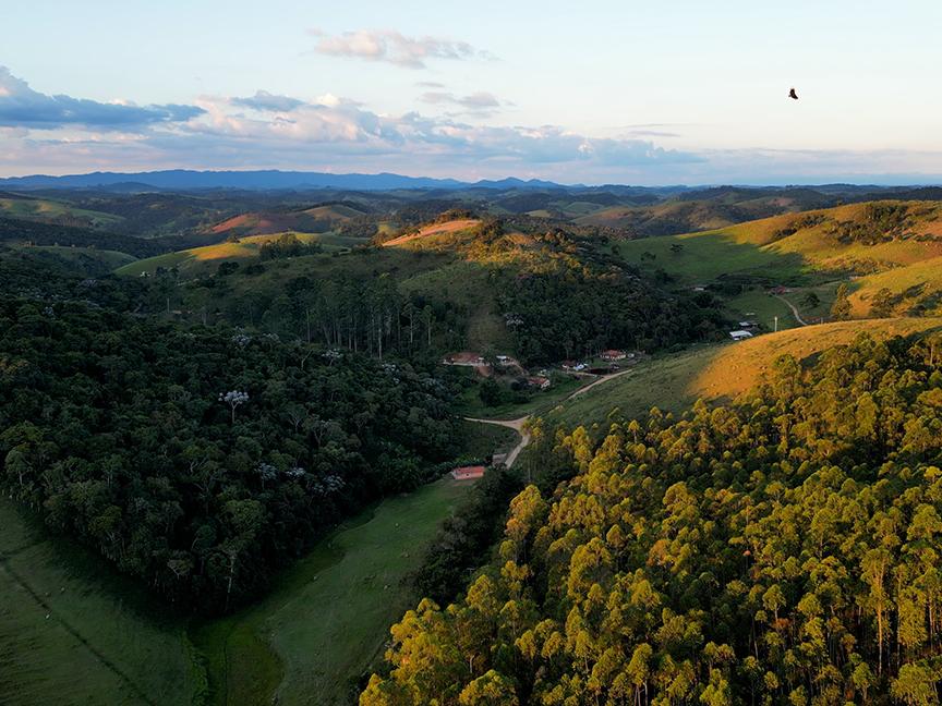 Forest landscape broken up by roads and agricultural fields.