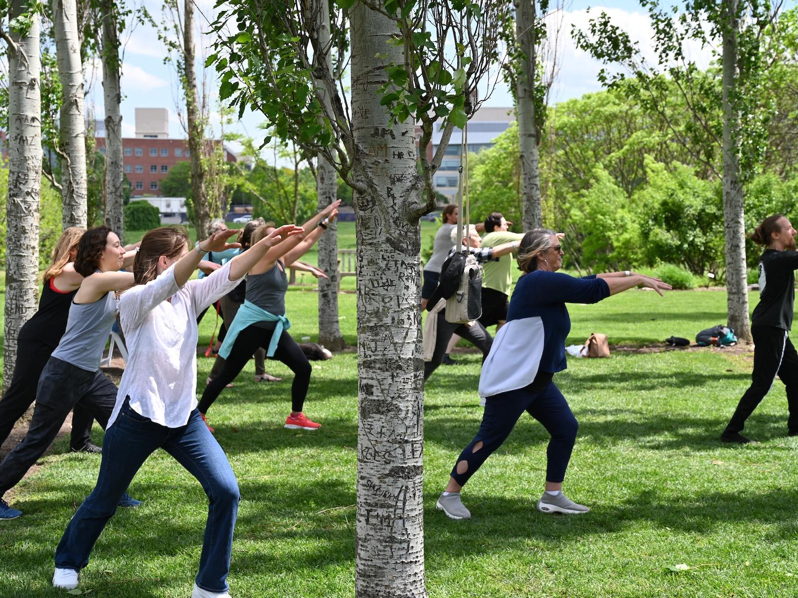 Explore nature and wellness at the Arboretum’s 'Wild Wellness' festival