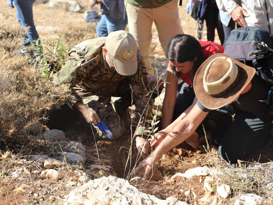 Maya Nehme planting