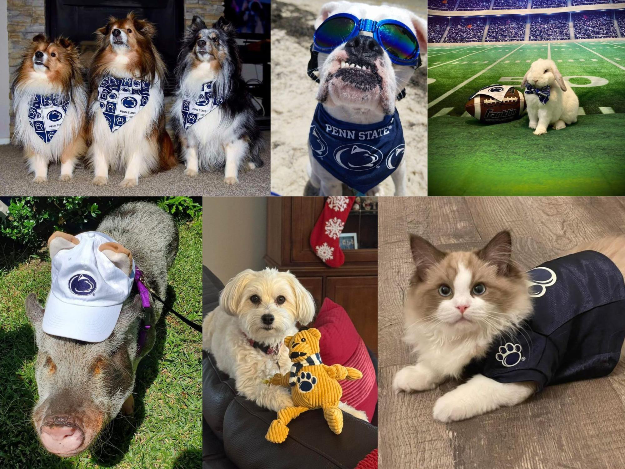 Social Life: Penn State pets