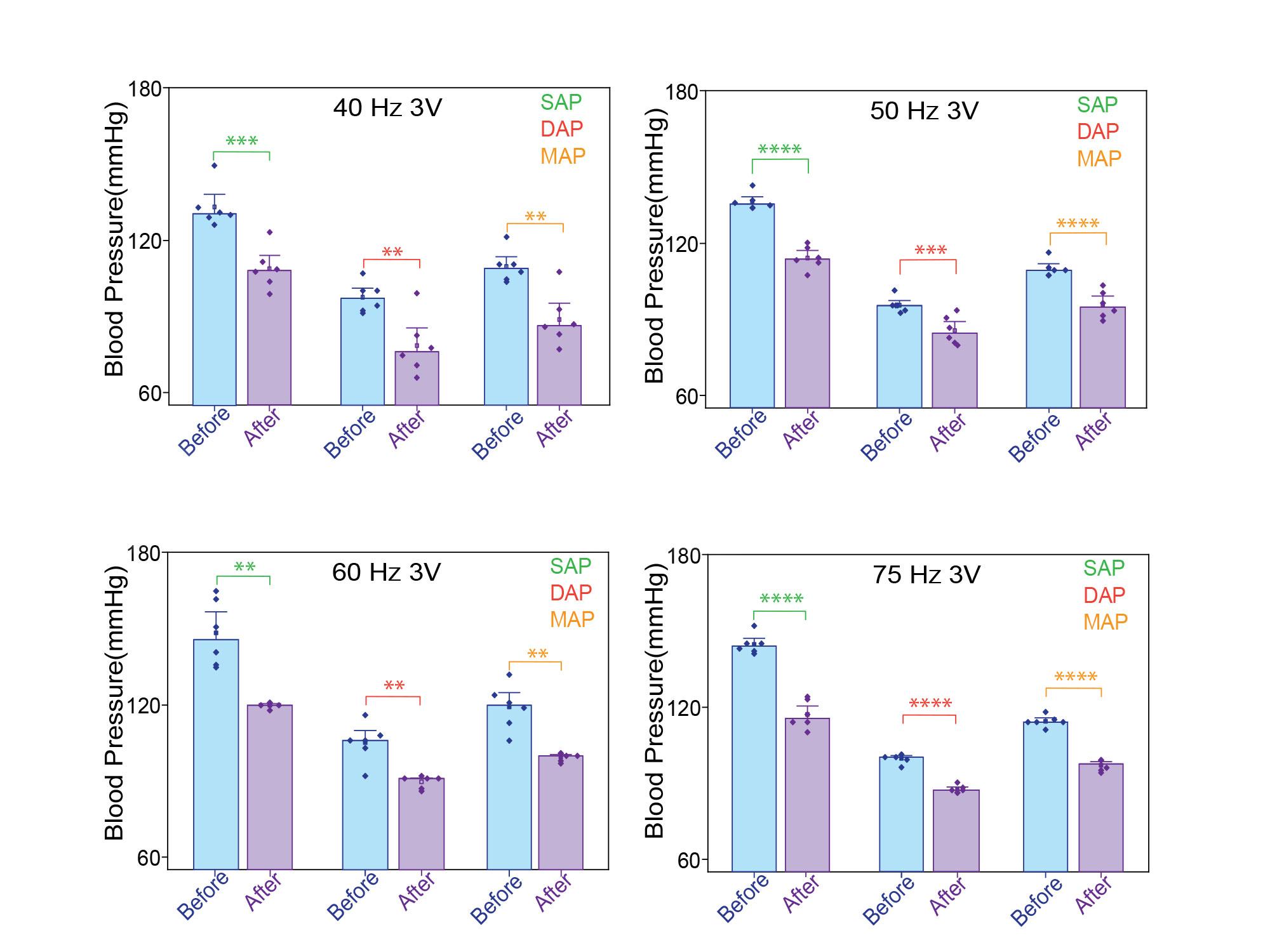 A research figure showcasing how different frequencies of reduced blood pressure in rodent models with hypertension
