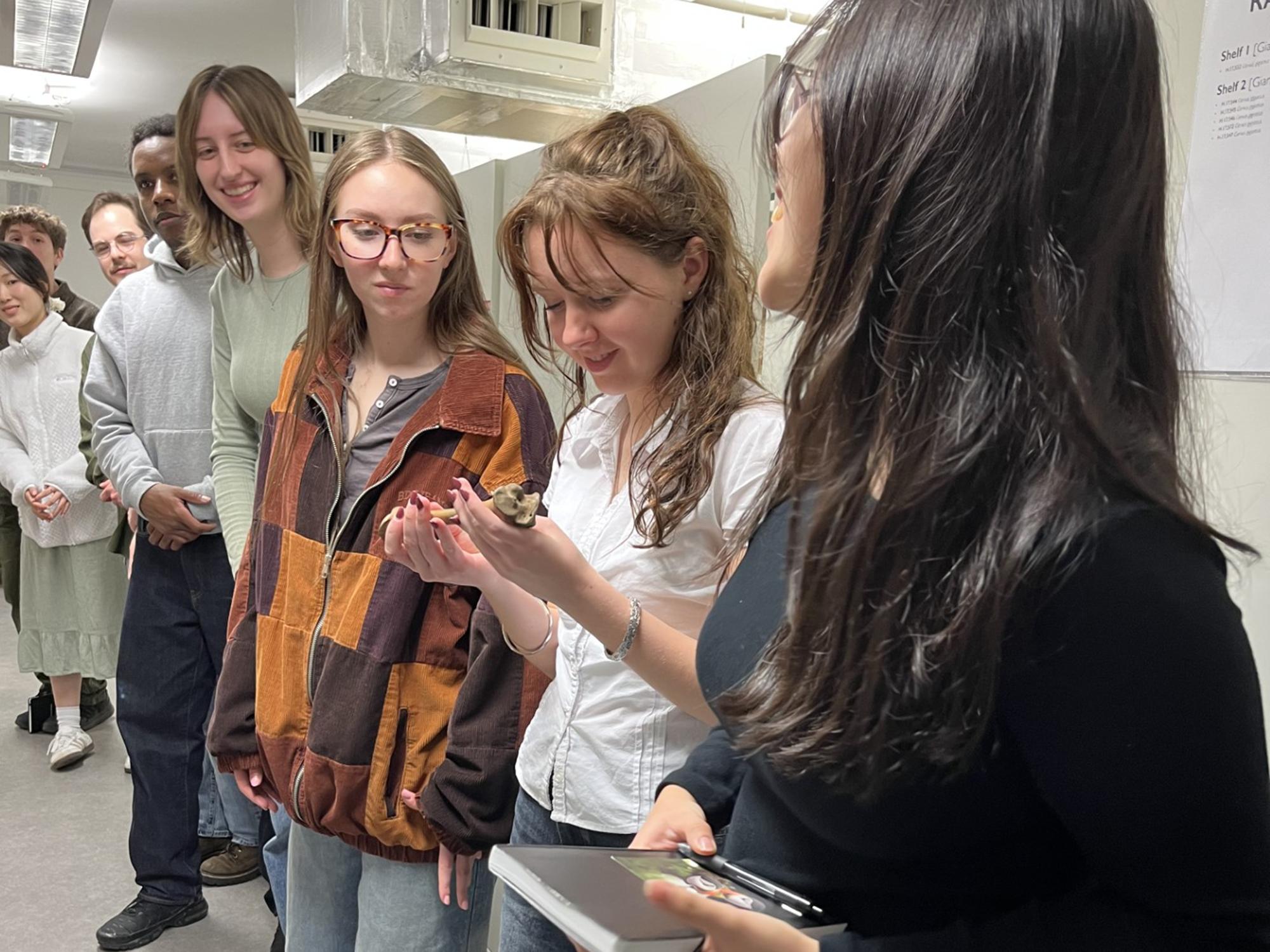 Students check out a leg bone of the now extinct Dodo during a behind-the-scenes tour at the University of Cambridge Museum of Zoology.