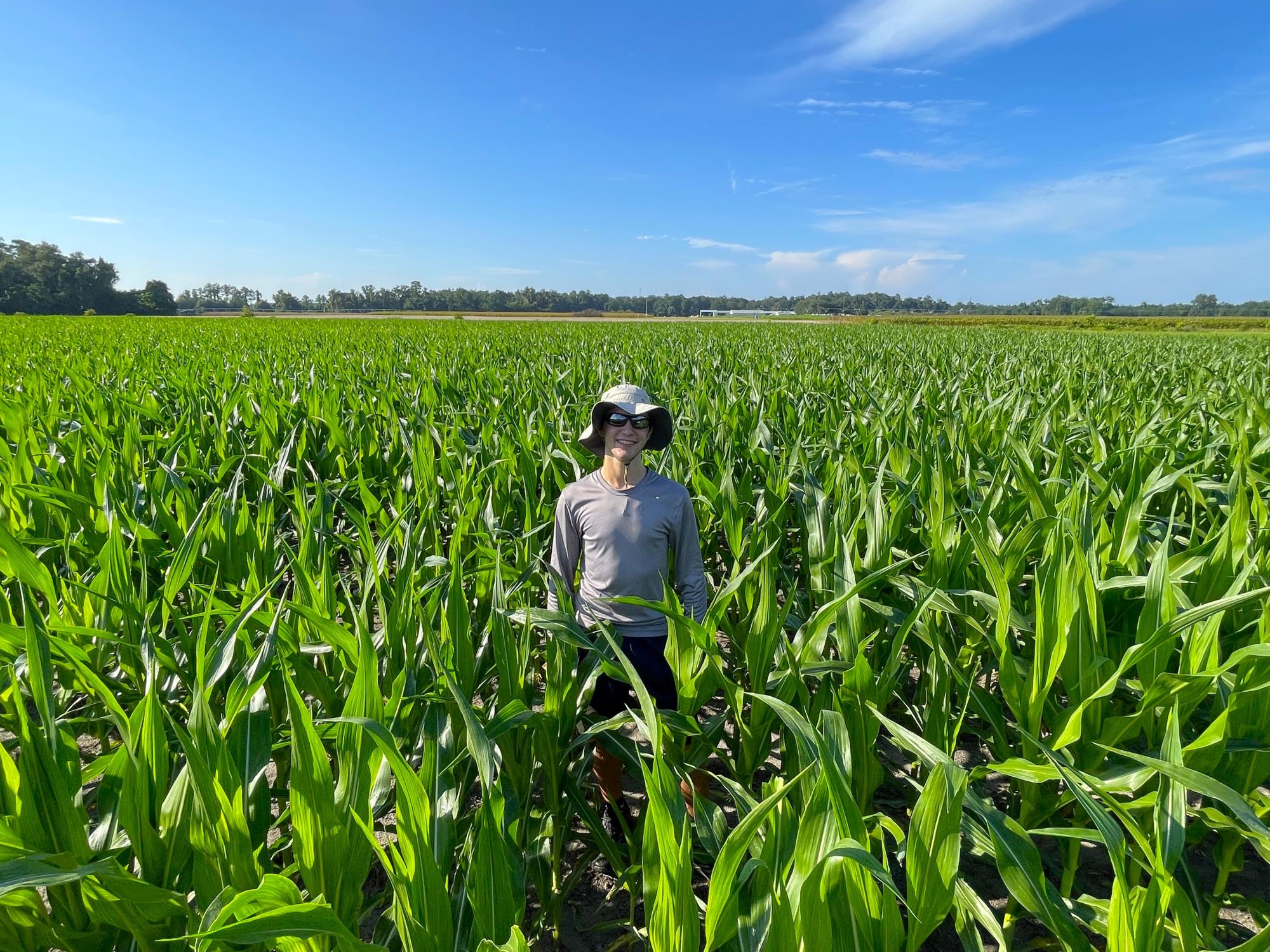 Charlie Colvin standing in a large, flat cornfield among chest-high corn