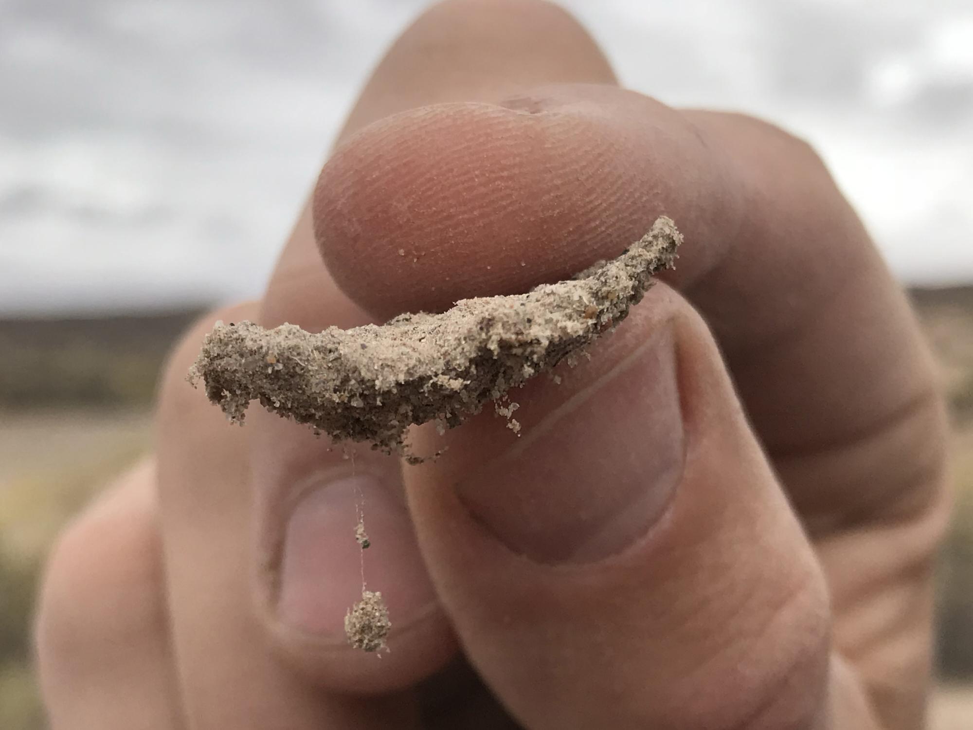 dryland soil chunk
