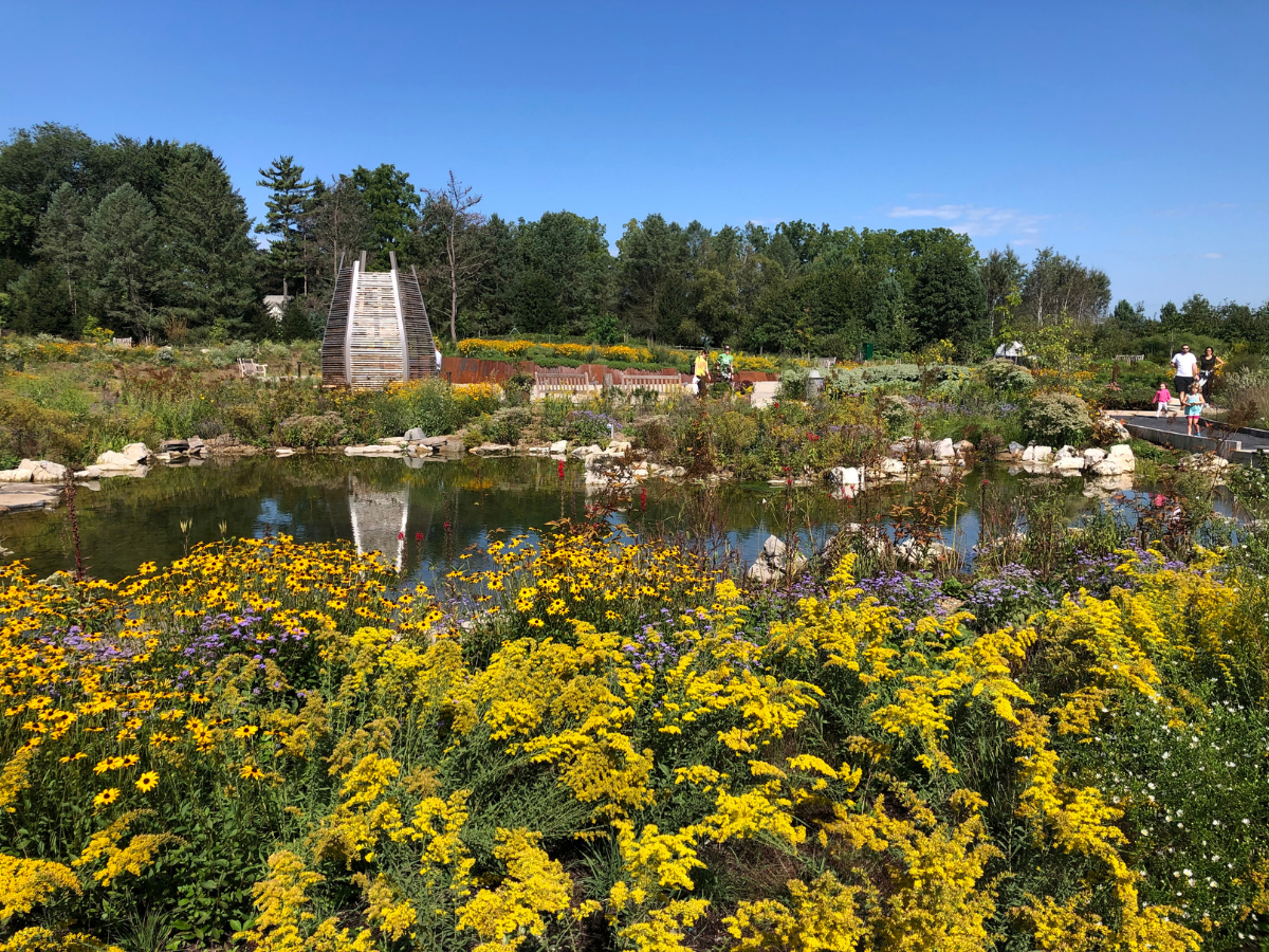 Beescape Updates: County-Level Pollinator Plant Tips | Mirage News