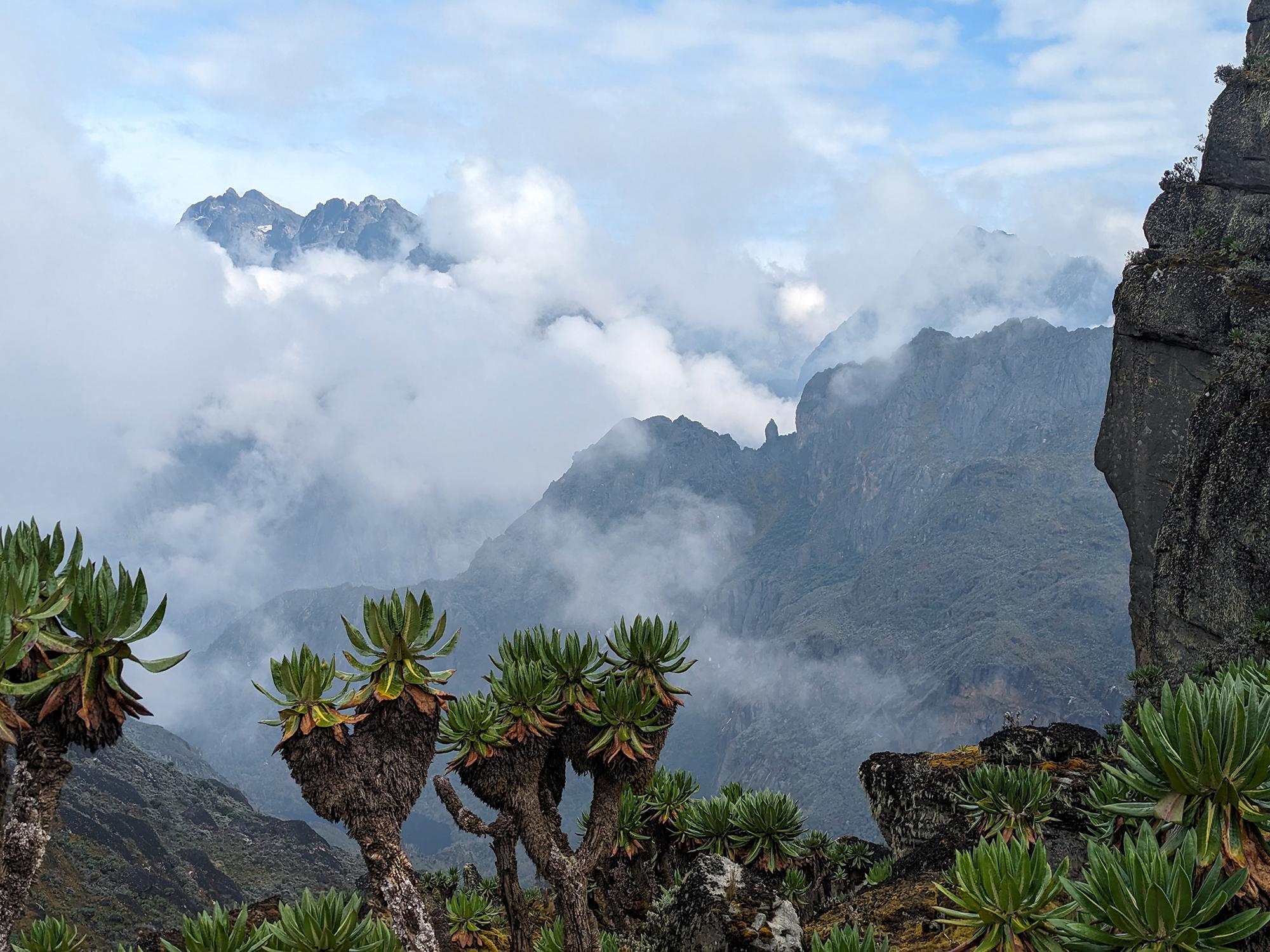  view from Bamwanjara Pass with view of Margarita Peak and its glacier in the distance