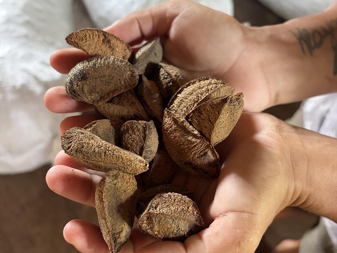 Brazille nuts